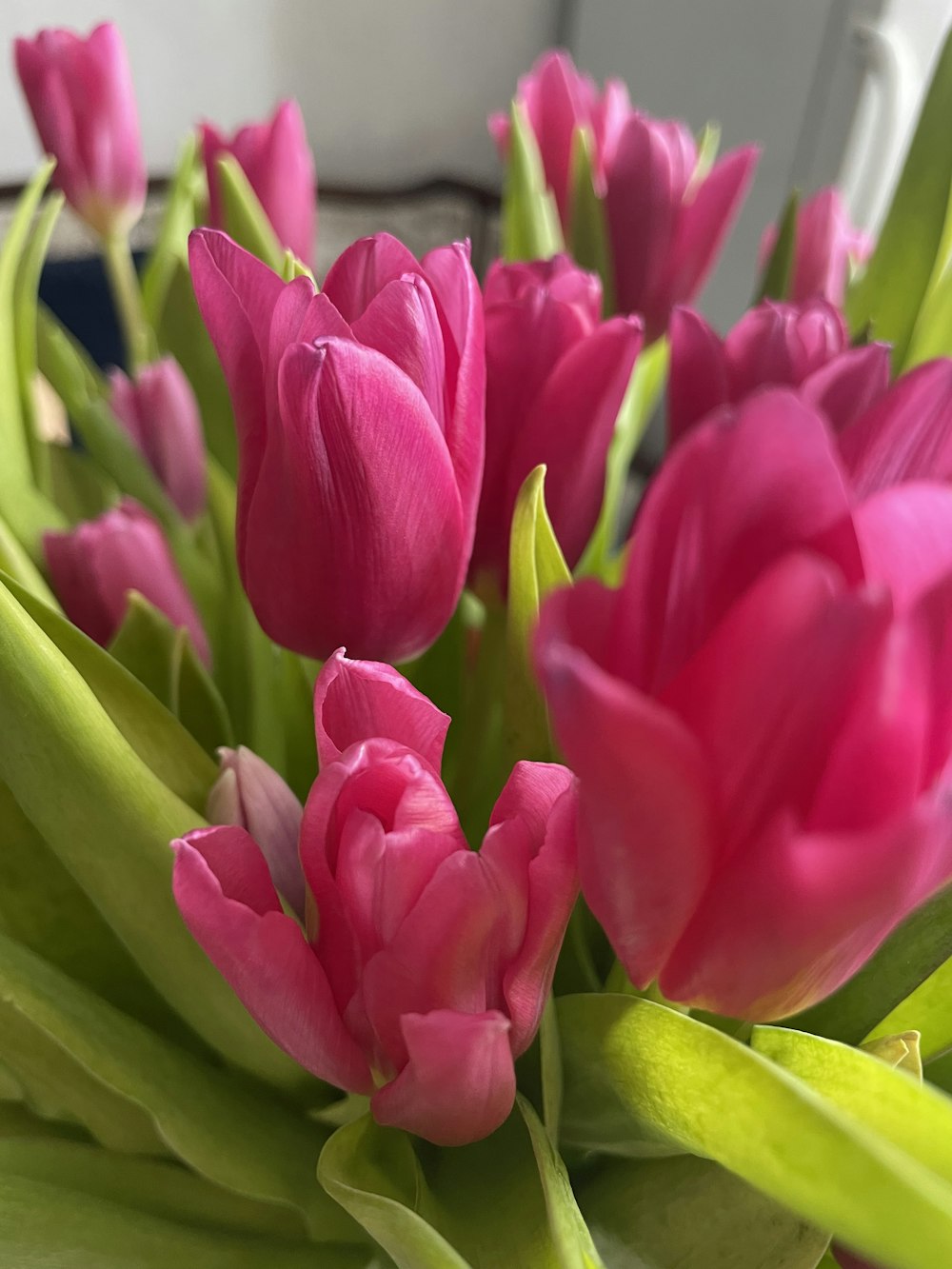 a bouquet of pink tulips on a table