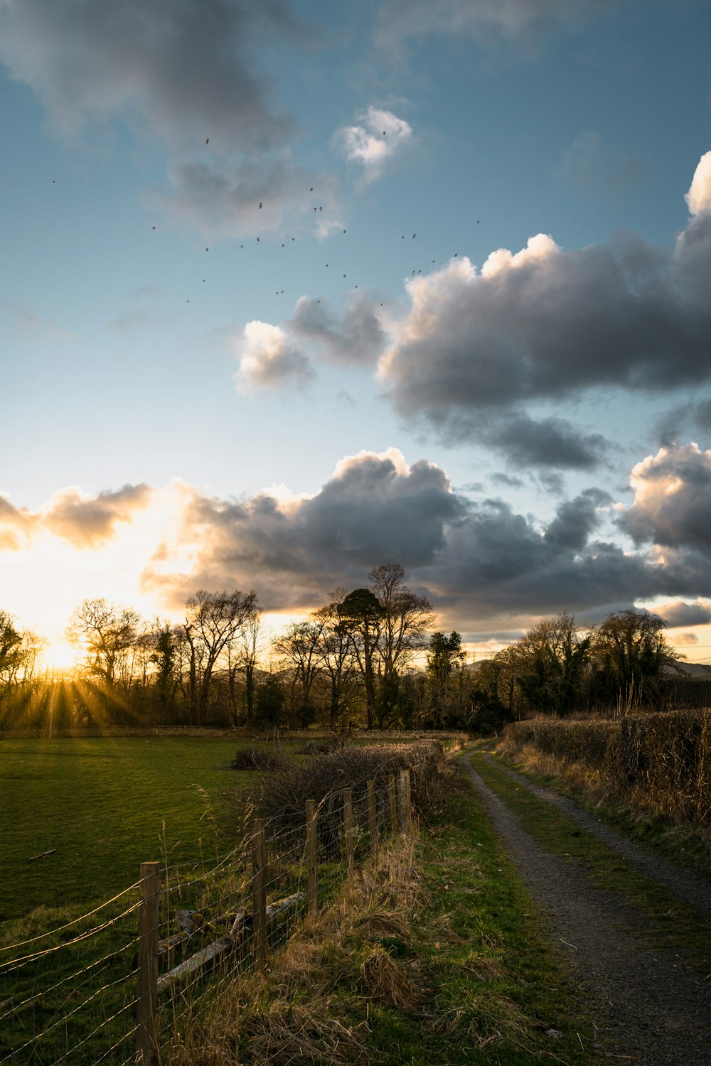 the sun is setting over a grassy field