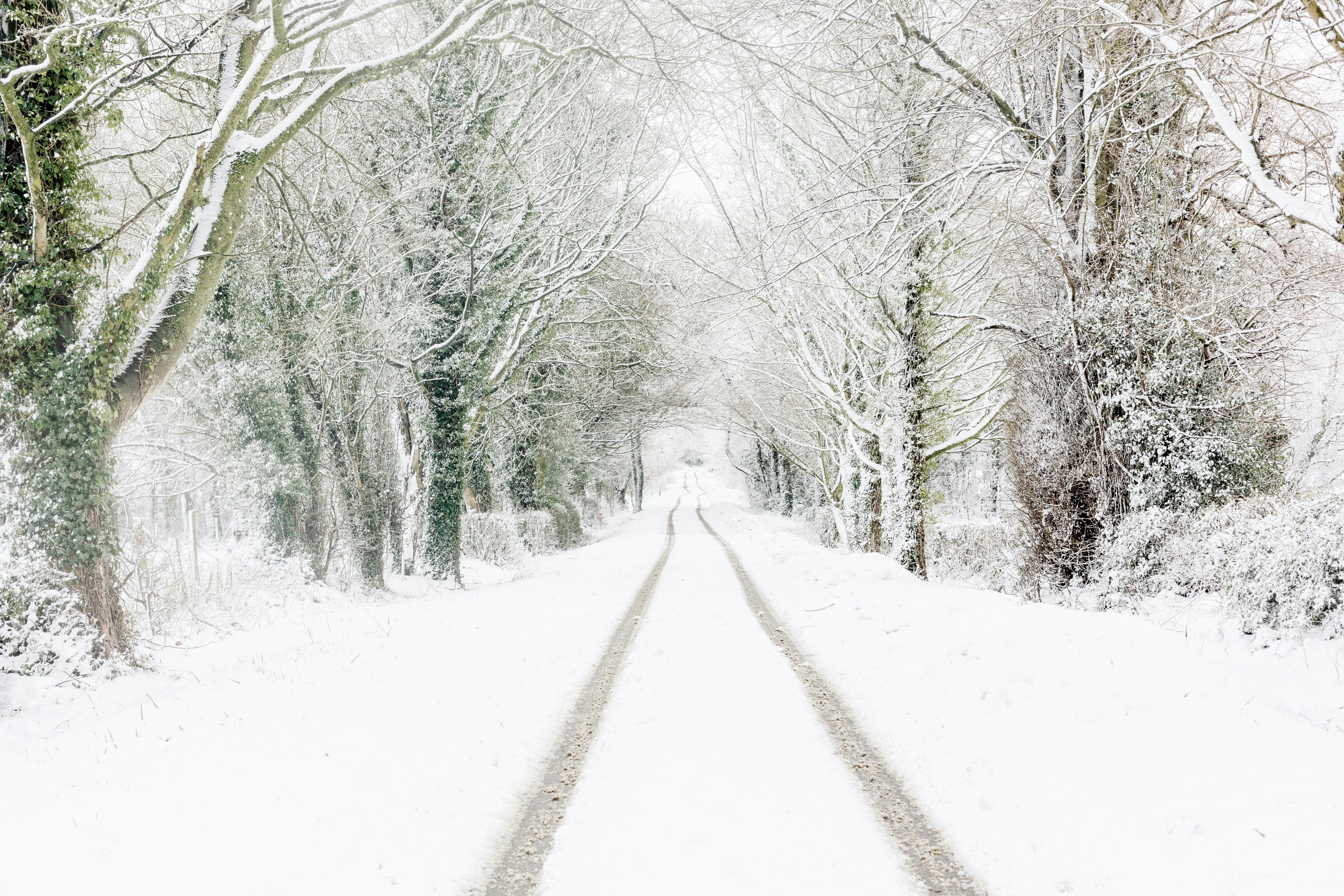 Photo by nataliekinnear