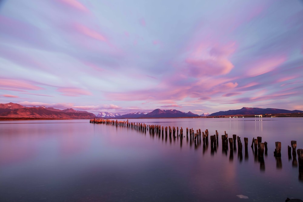 a body of water with a bunch of poles sticking out of it