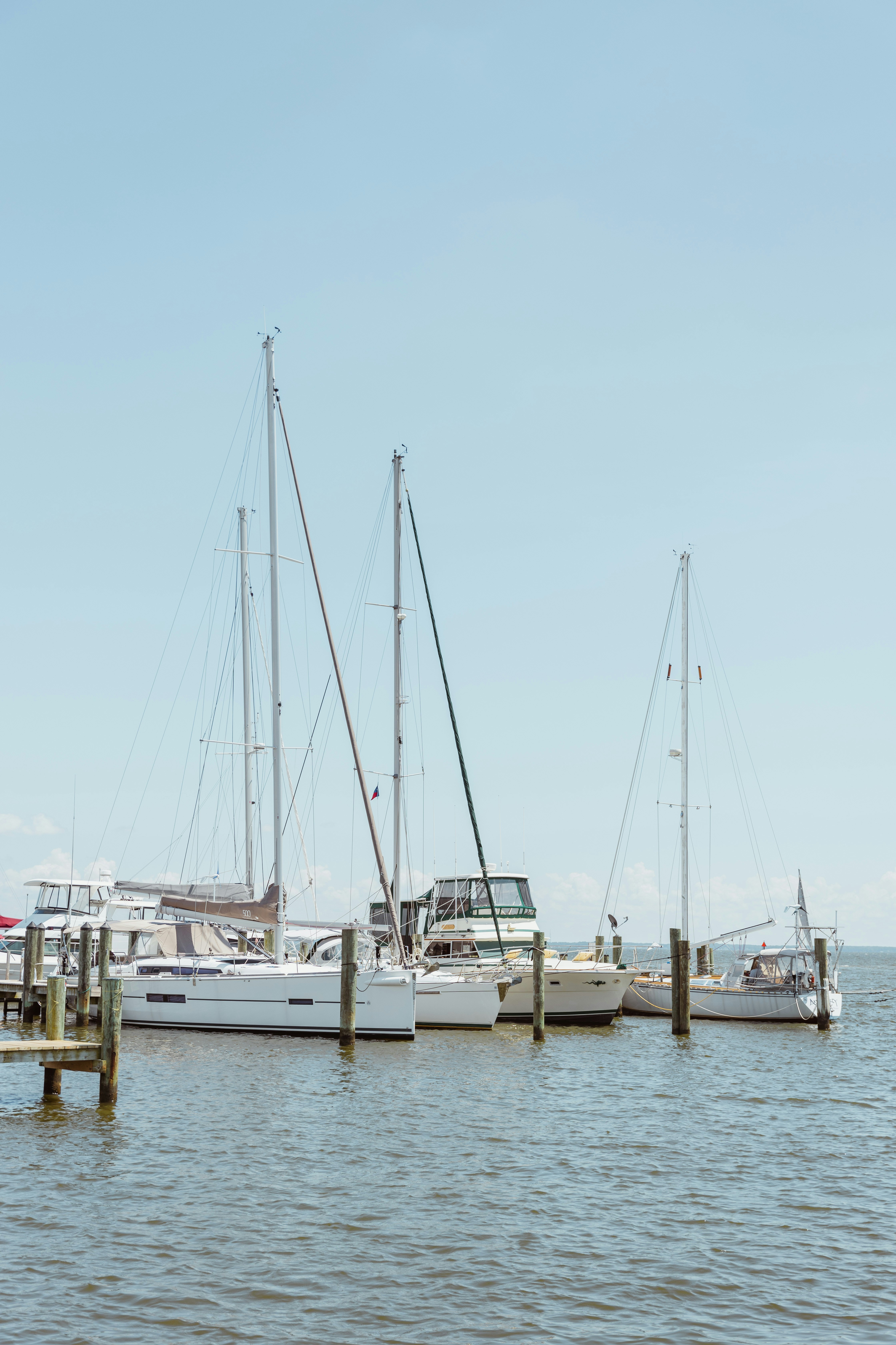 a group of sailboats docked at a pier
