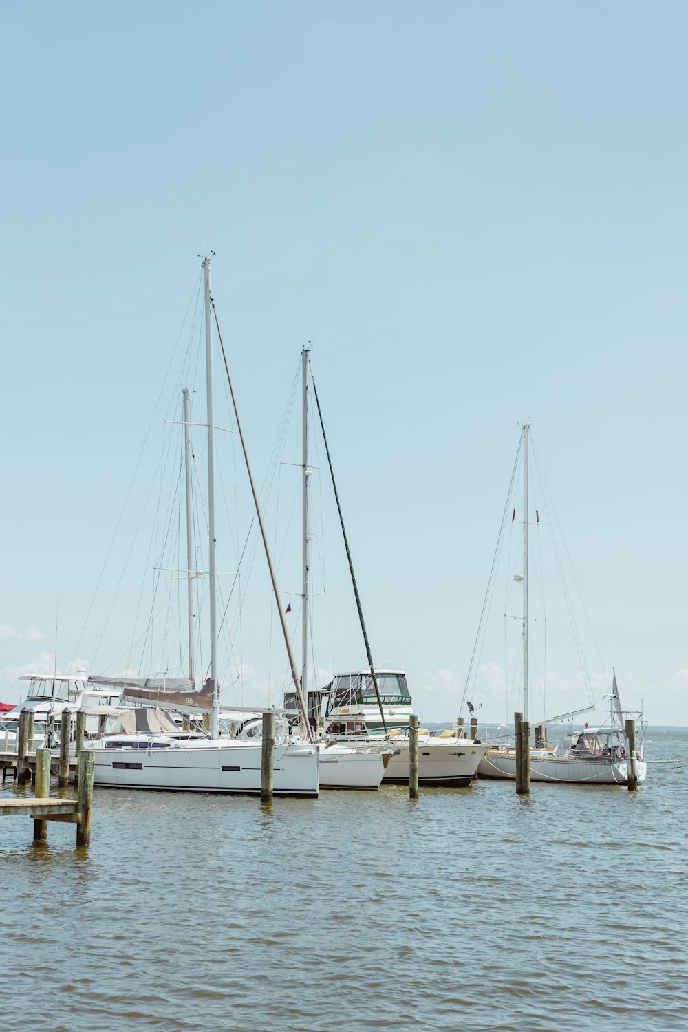 a group of sailboats docked at a pier