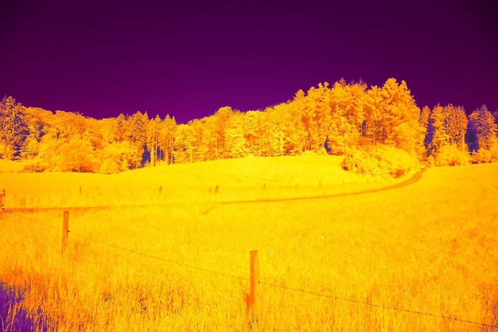 a field with a fence and trees in the background