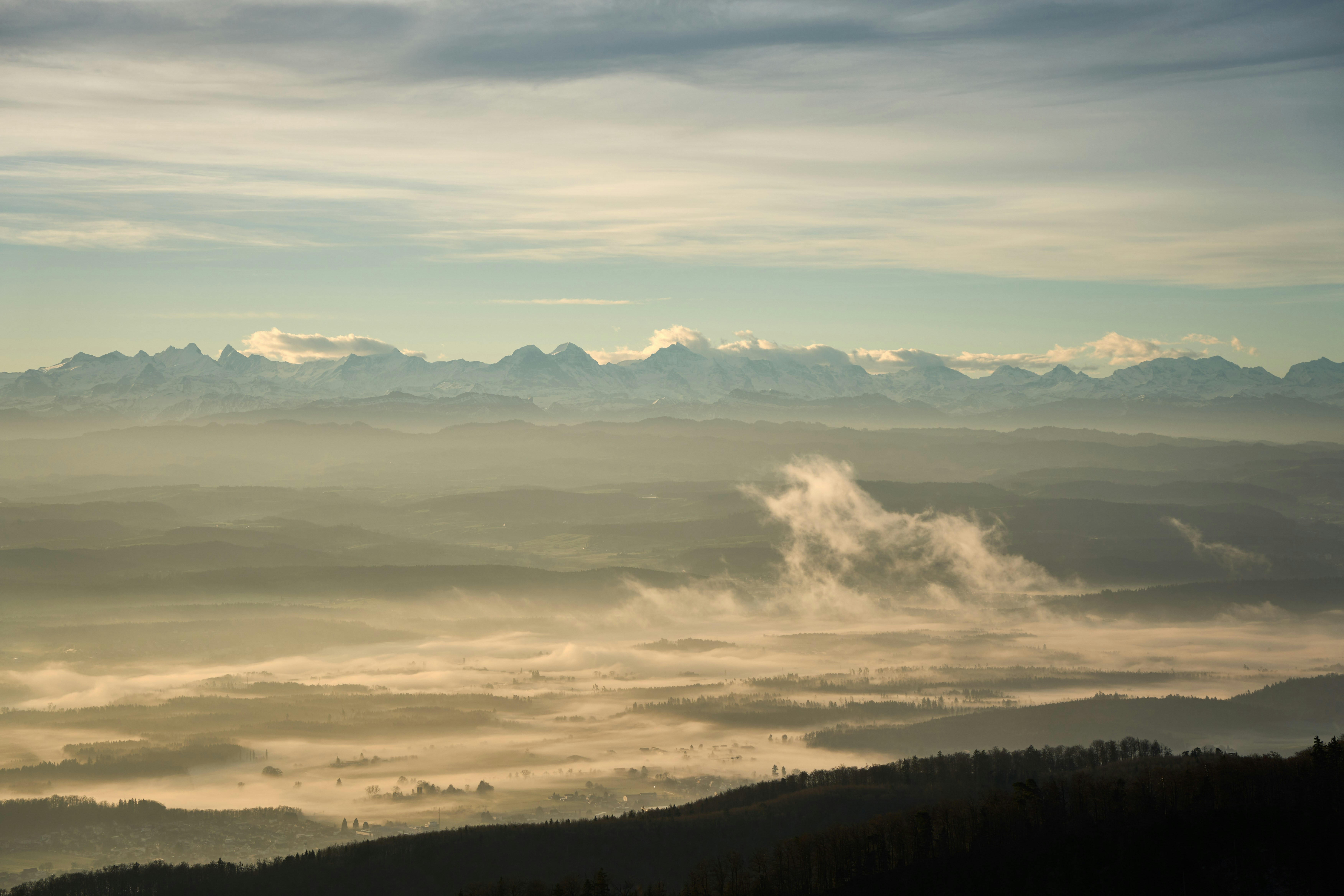 Photo by wolfgang_hasselmann