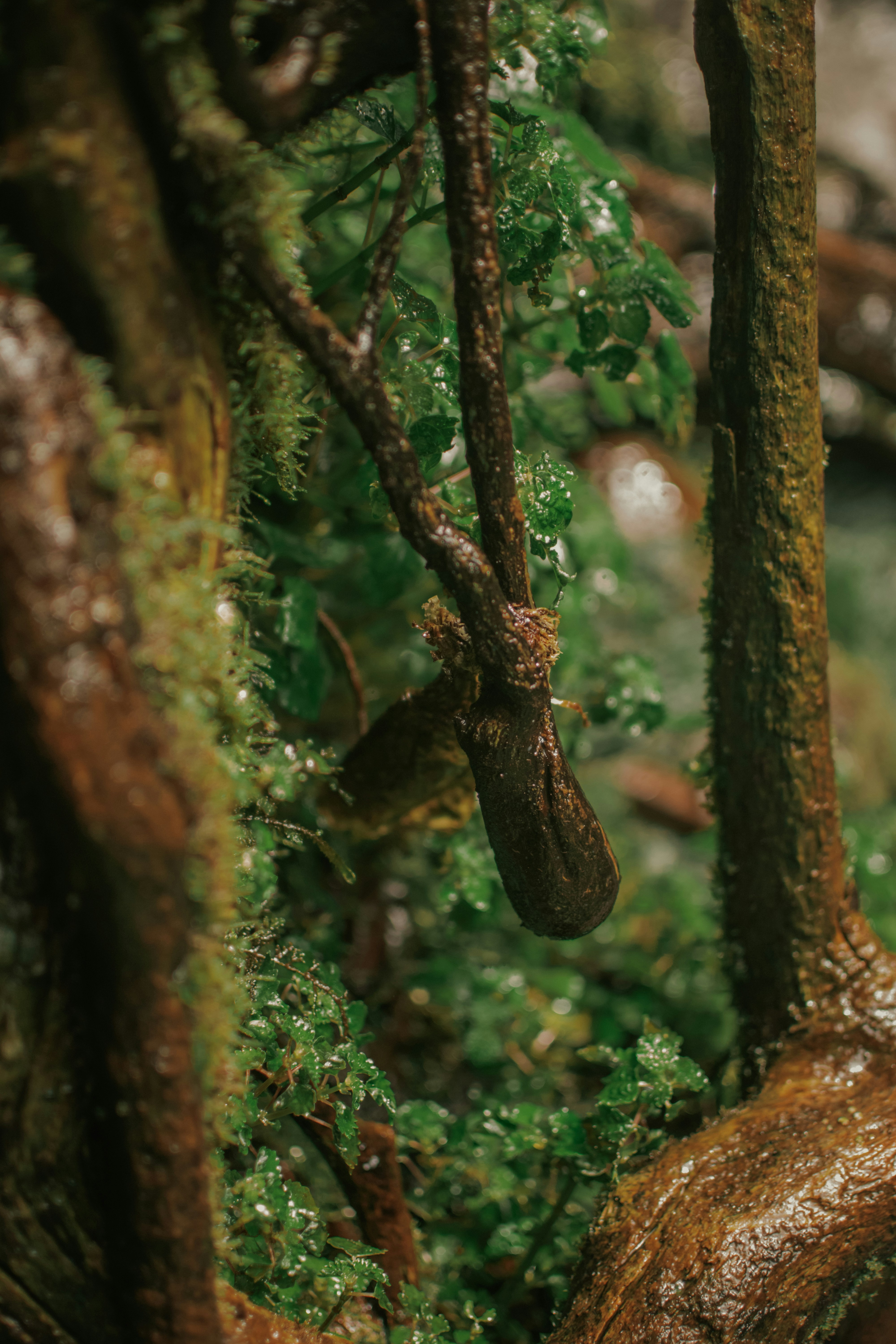 Photo by utunzajiwamazingira