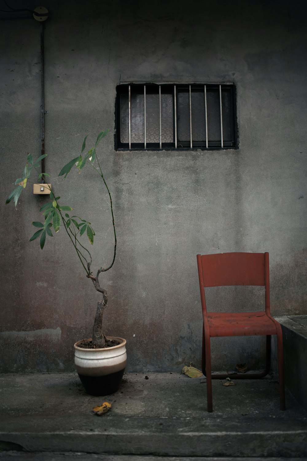 a red chair sitting next to a potted plant