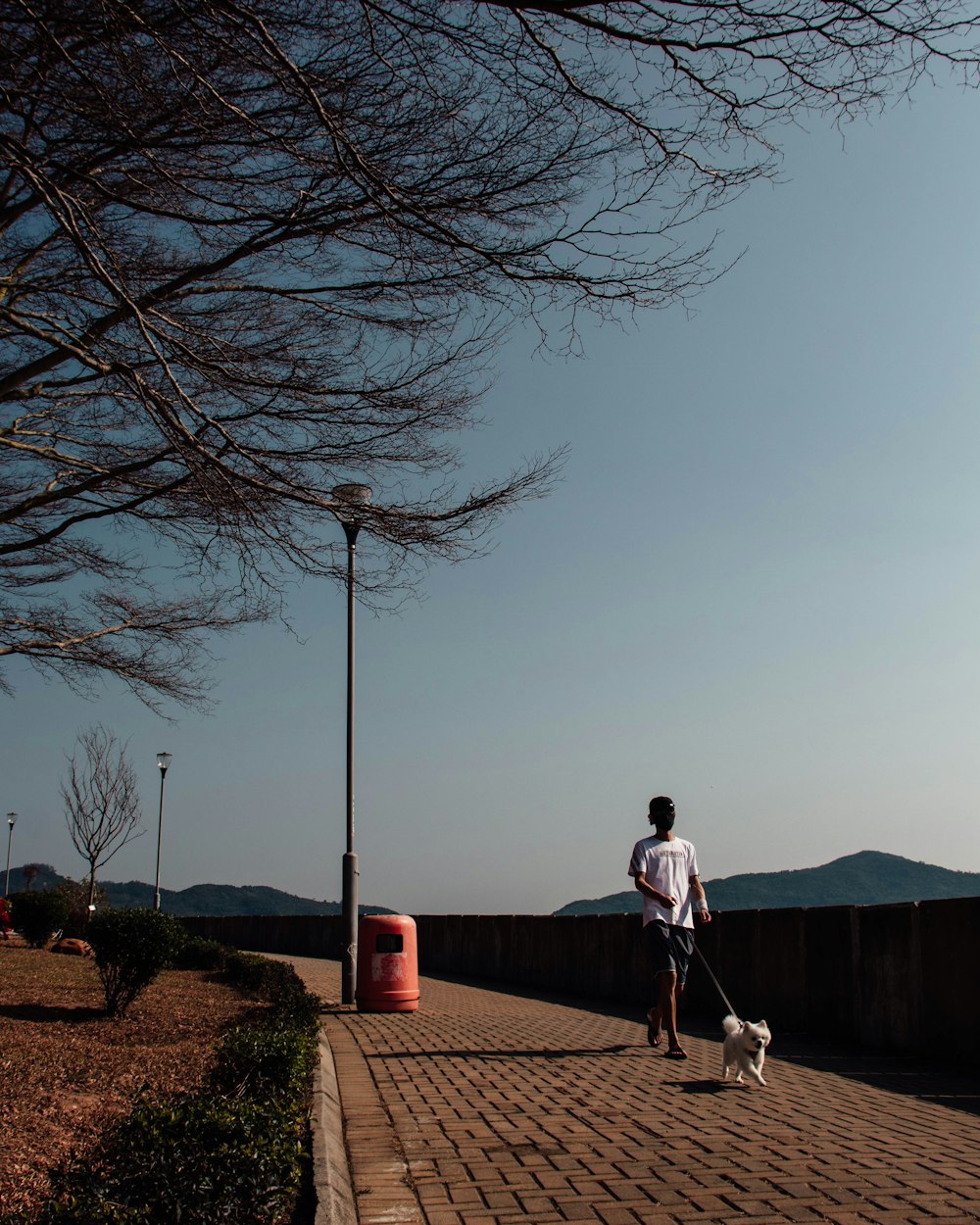 a man walking a dog down a brick walkway