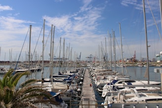 a bunch of boats that are in the water