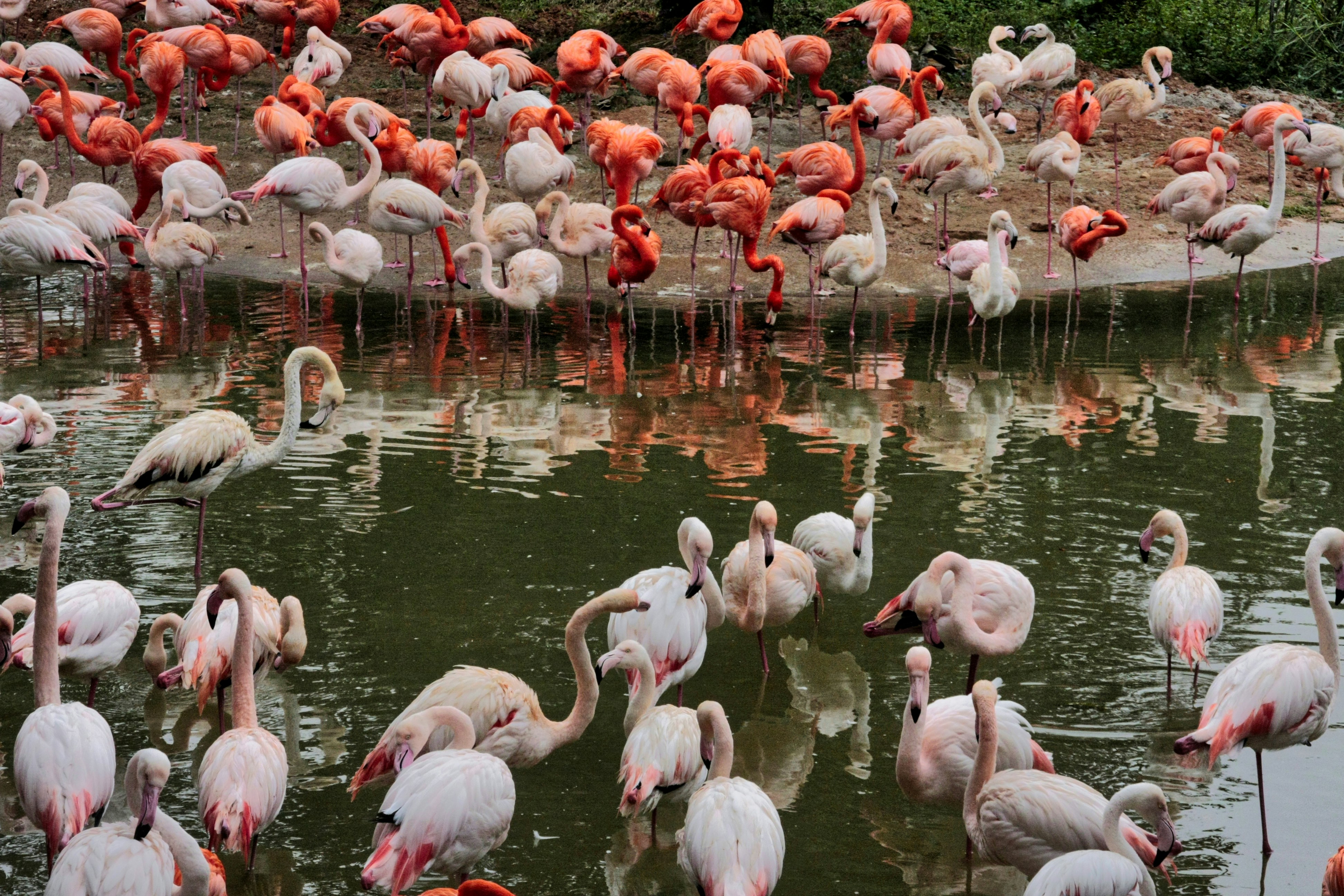 Photo by thomaskinto