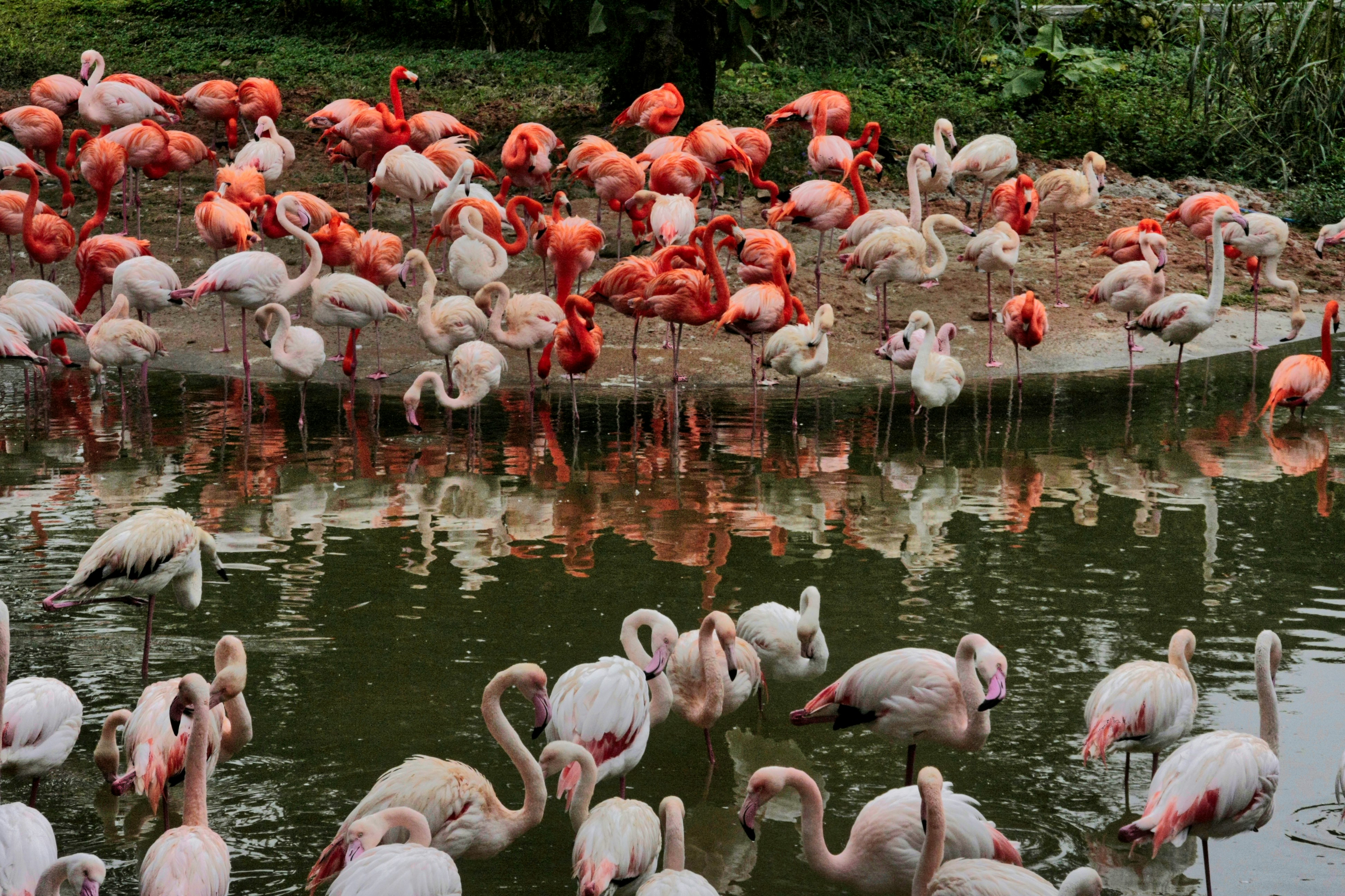 Photo by thomaskinto