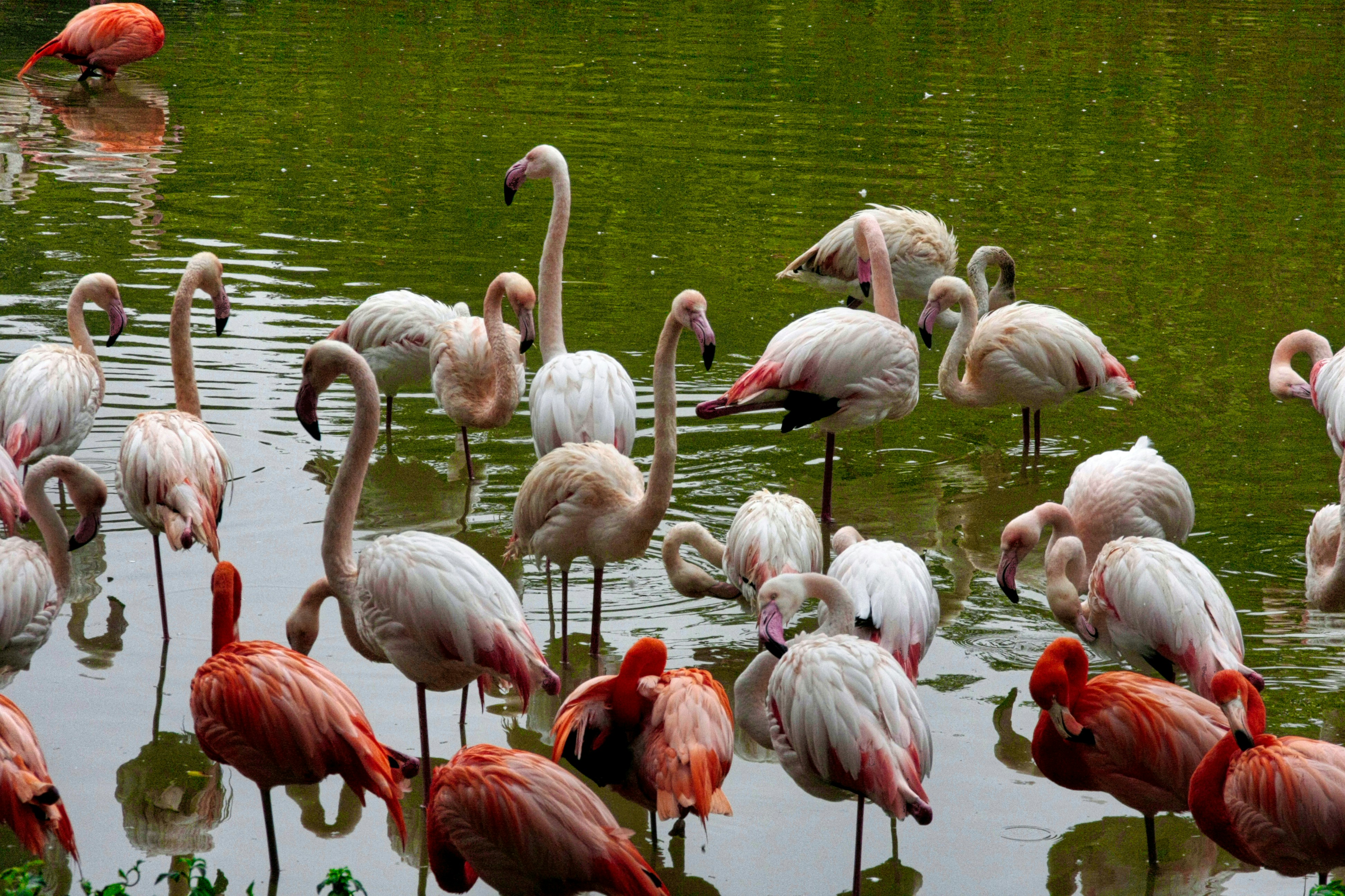 Photo by thomaskinto