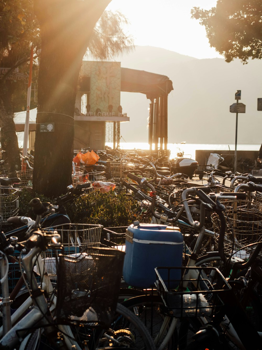 a bunch of bikes parked next to each other