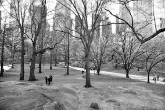 A black and white photograph captures a park scene with bare trees in the foreground. In the background, tall skyscrapers rise, creating a stark contrast between nature and urban architecture. People stroll on winding paths through the park, dressed in winter attire, suggesting a chilly day.
