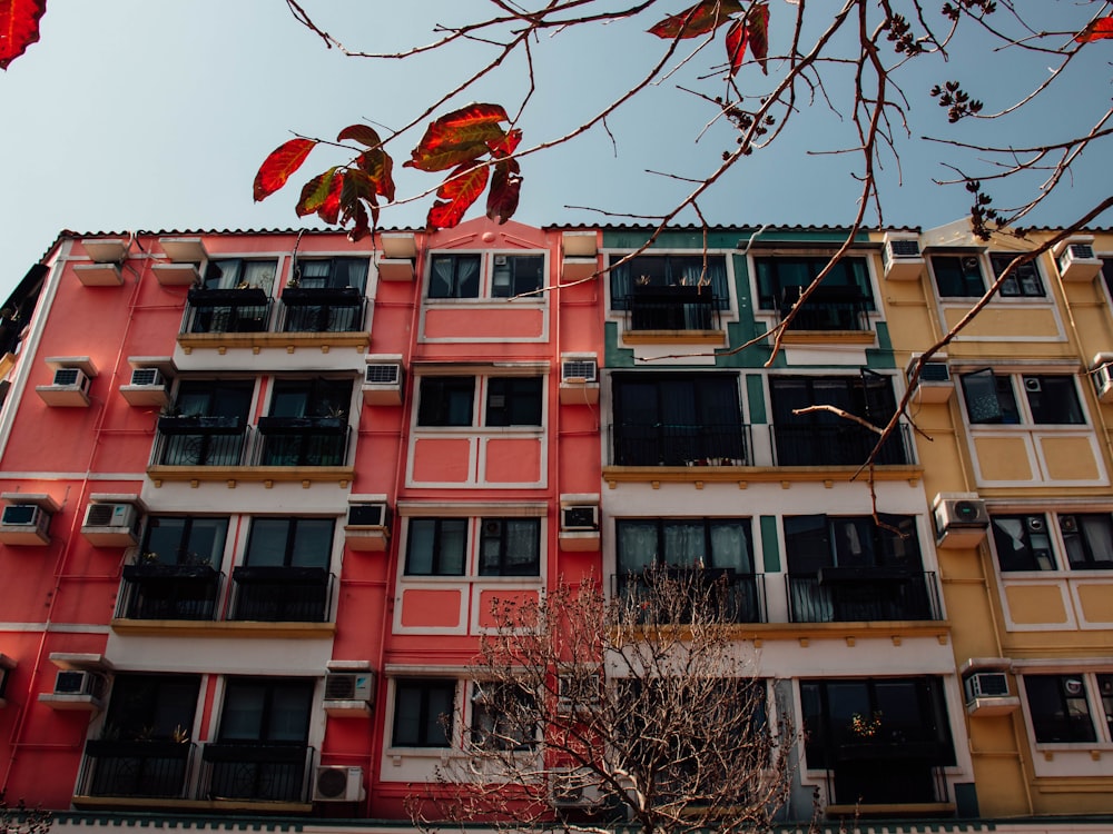 Un edificio multicolor con un árbol frente a él