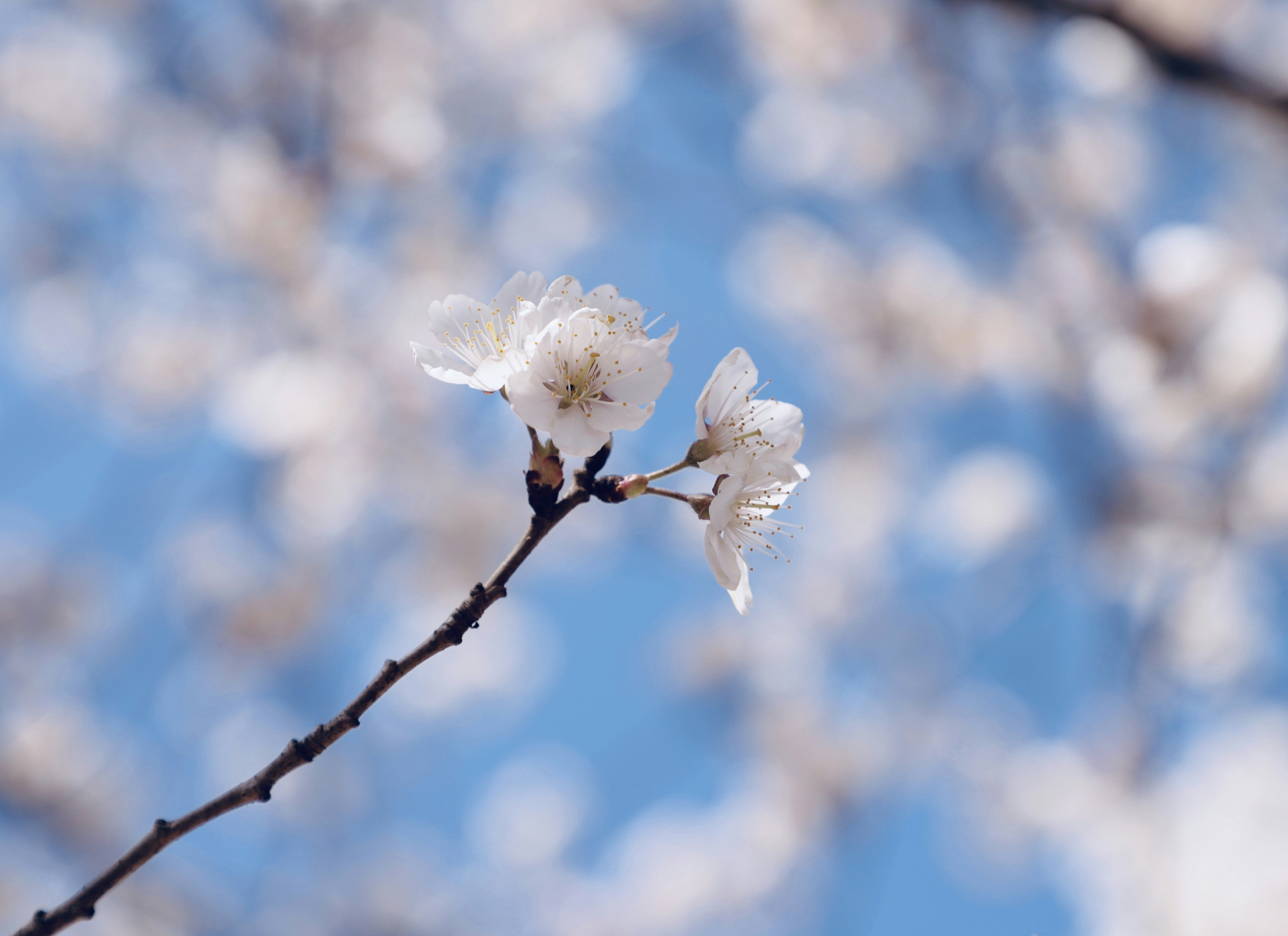 Photo by galaxyhunter