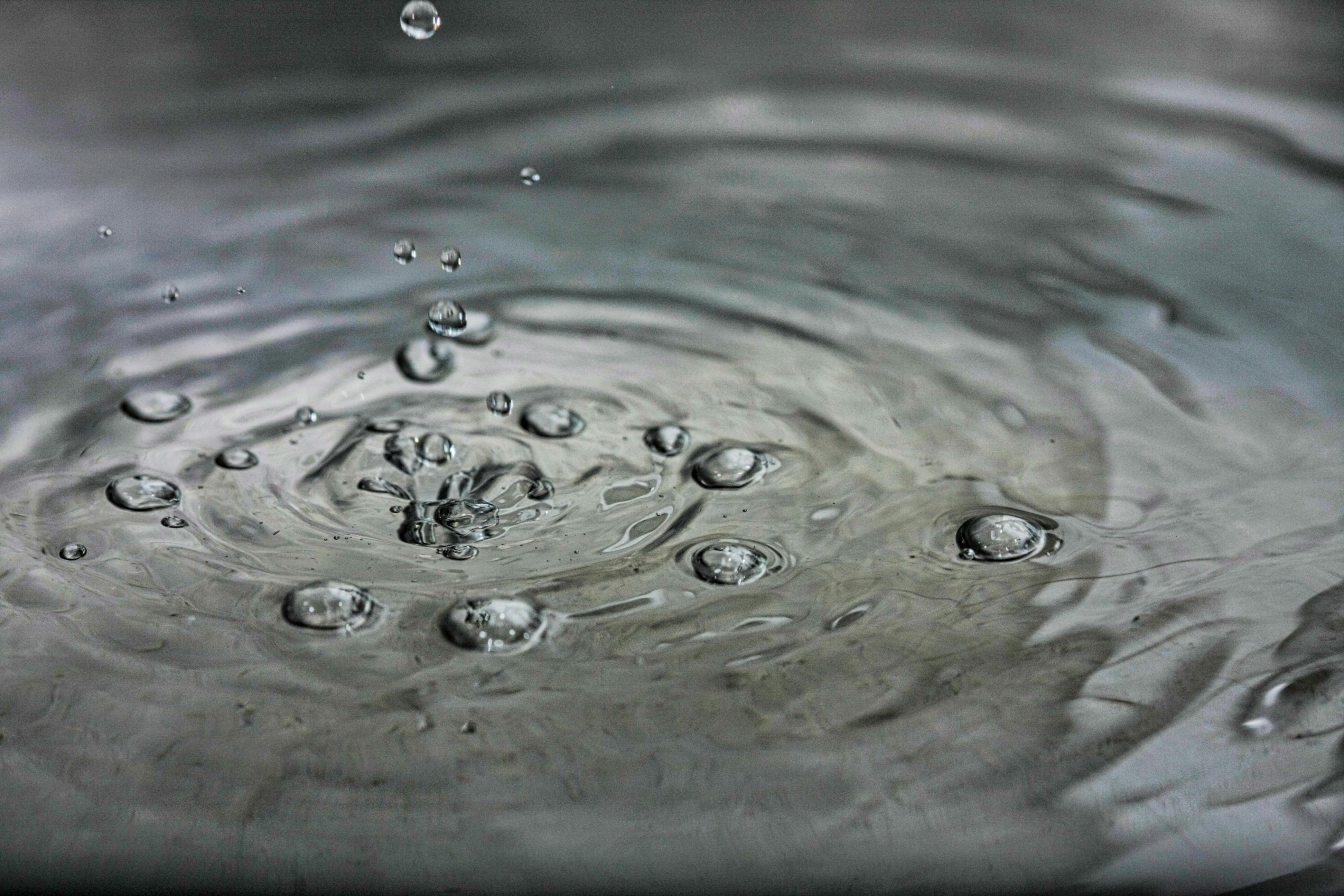 Photo by thomaskinto