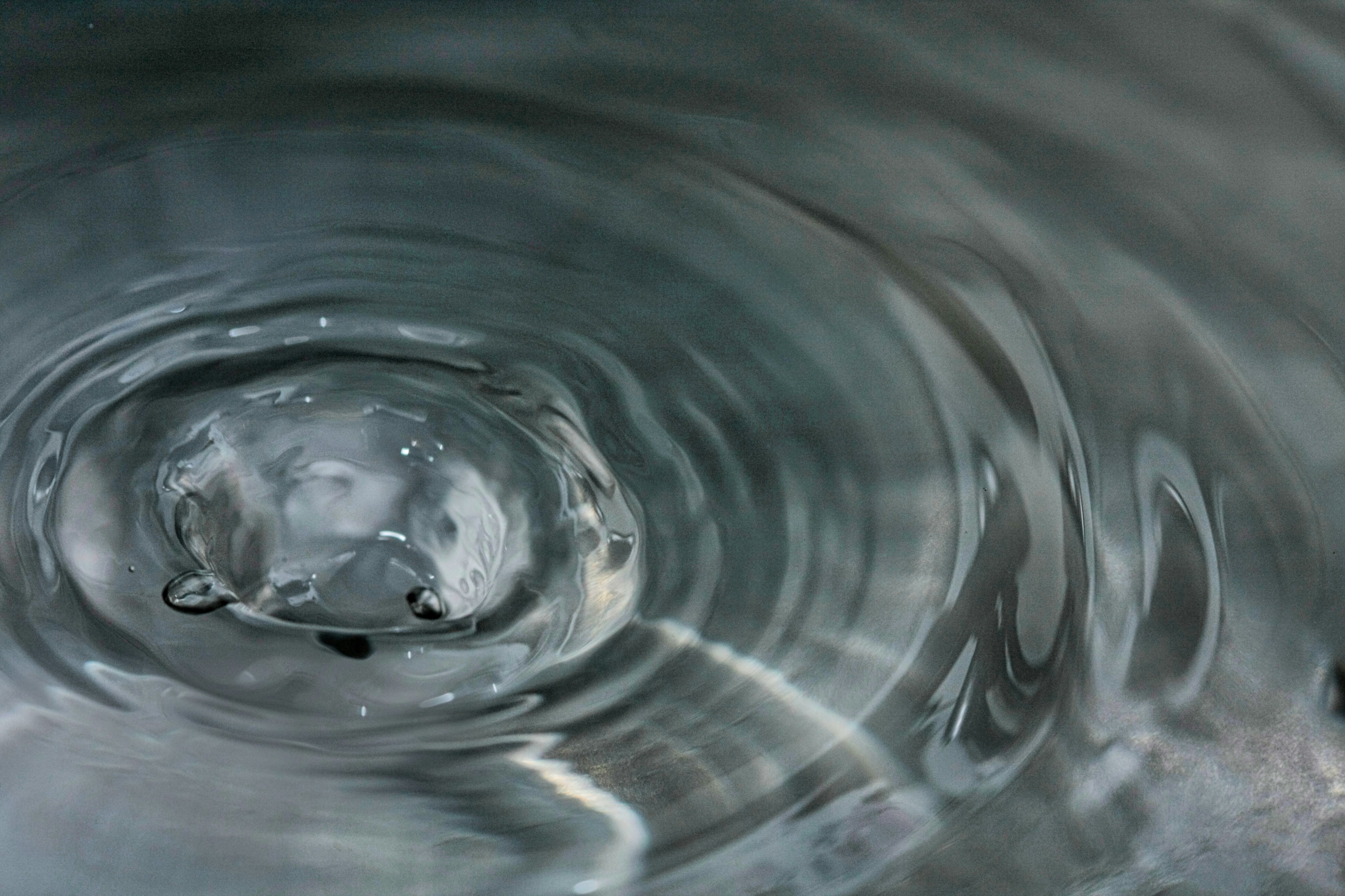 Photo by thomaskinto