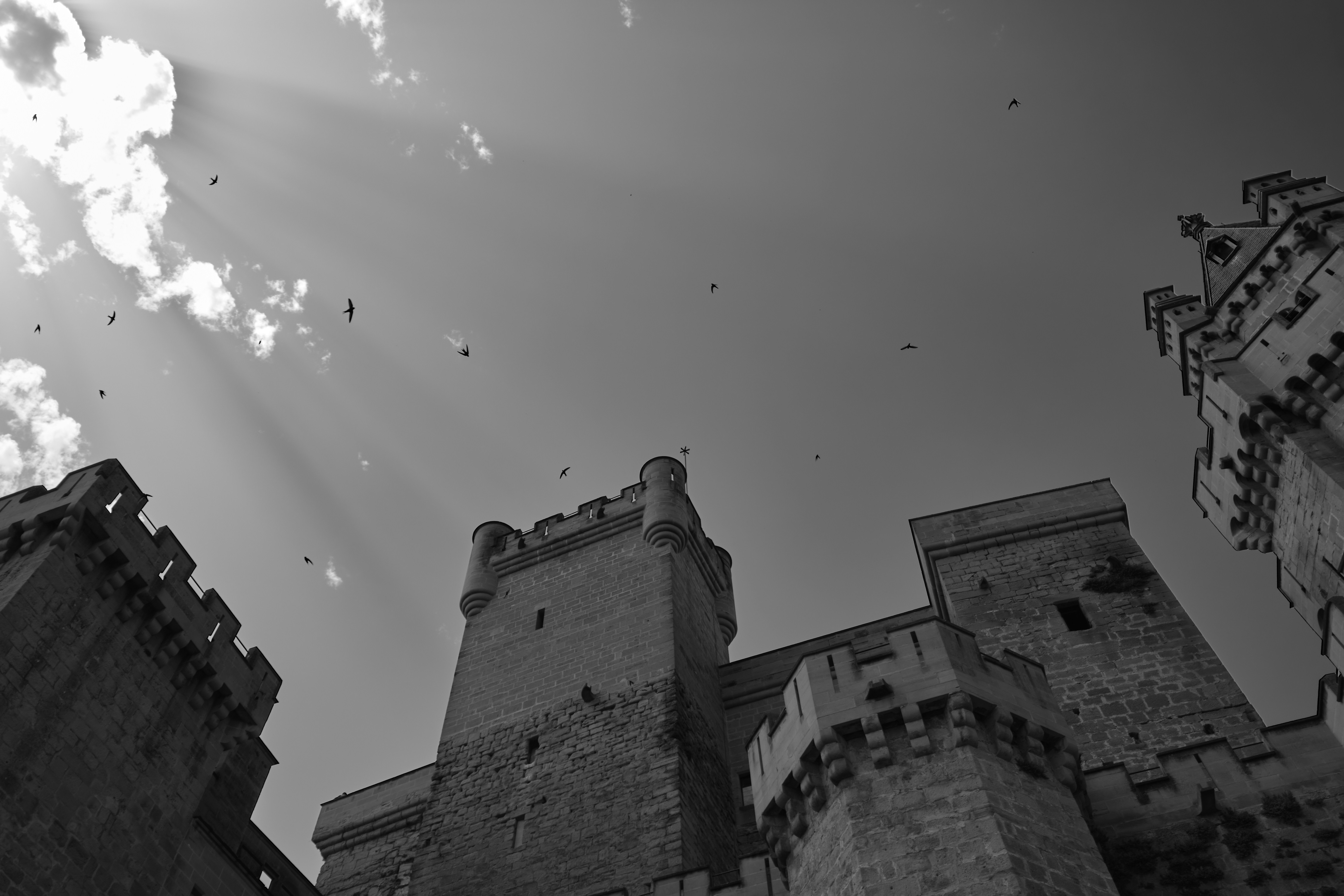 a black and white photo of a castle, 