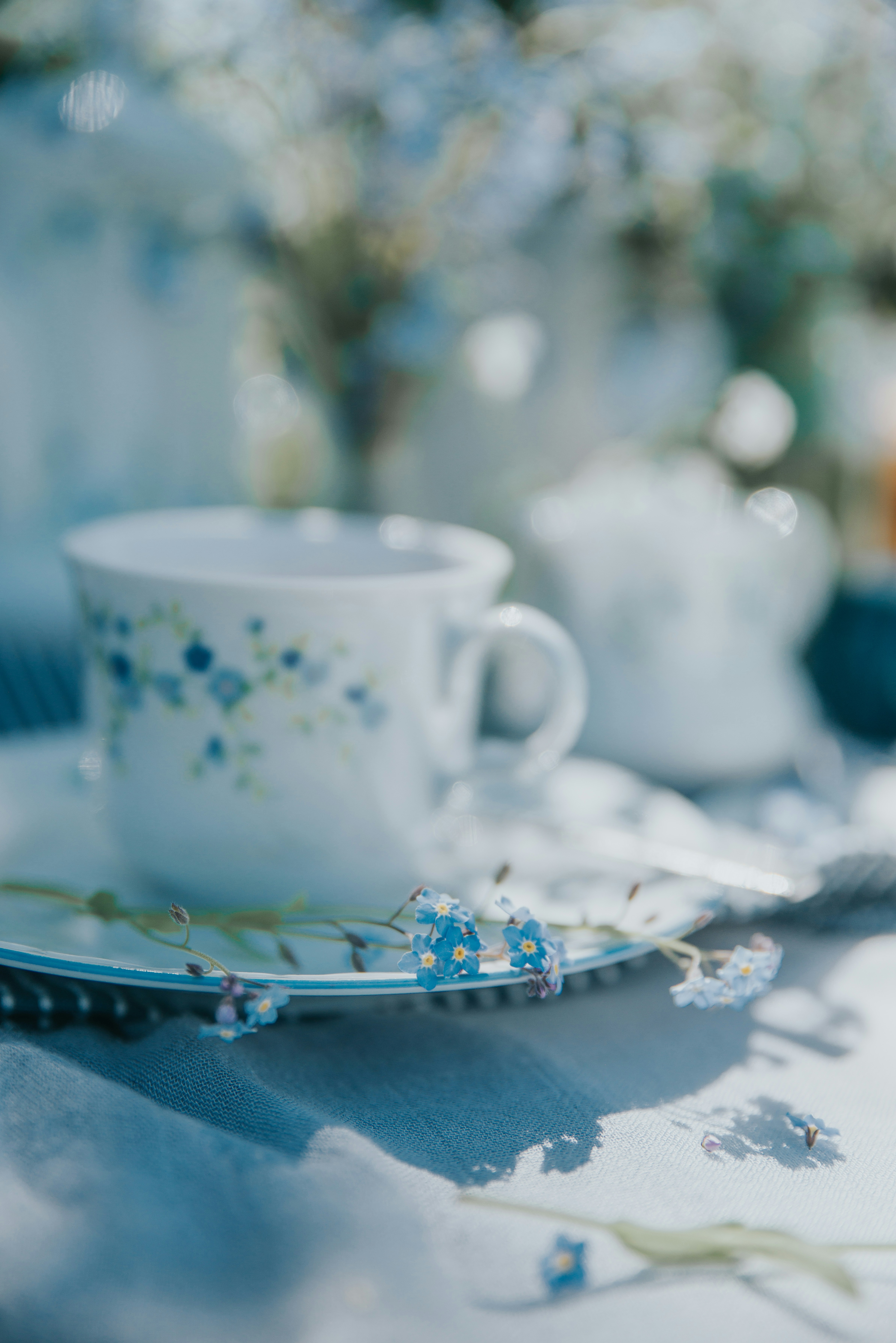 Photo by anitaaustvika