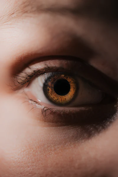 Instagram Lumière Lash