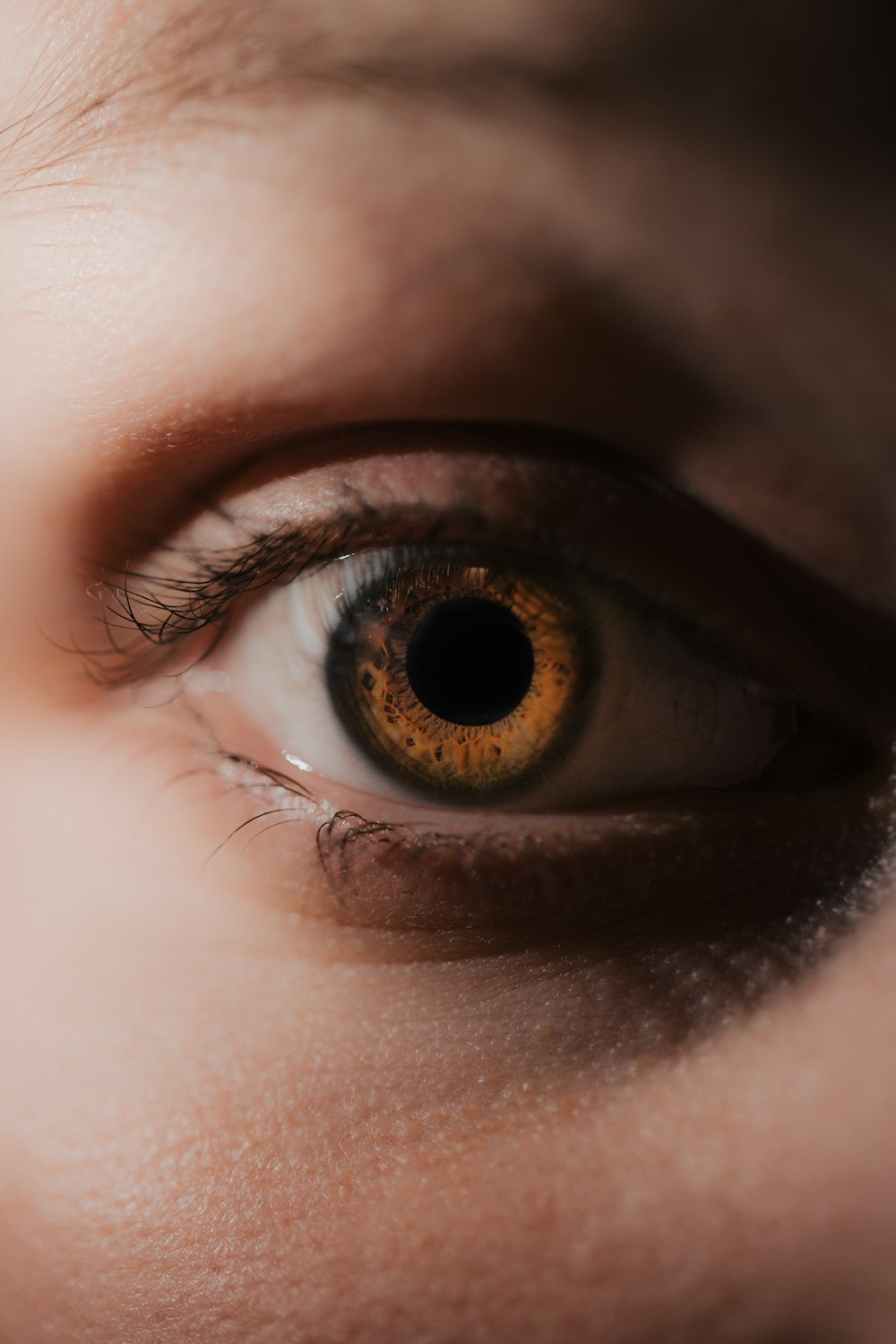 a close up of a person's brown eye