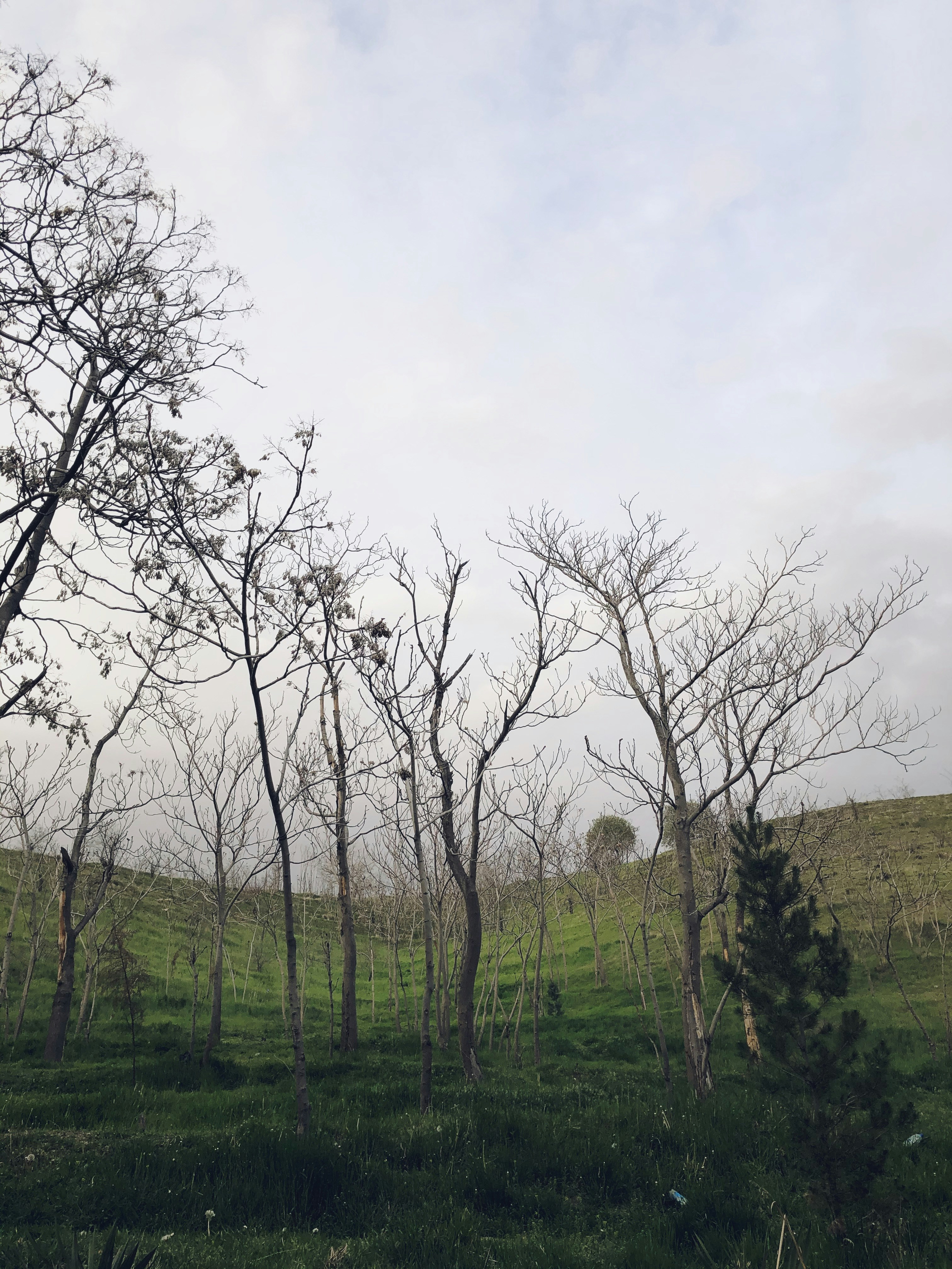 Photo by pariasoleimani