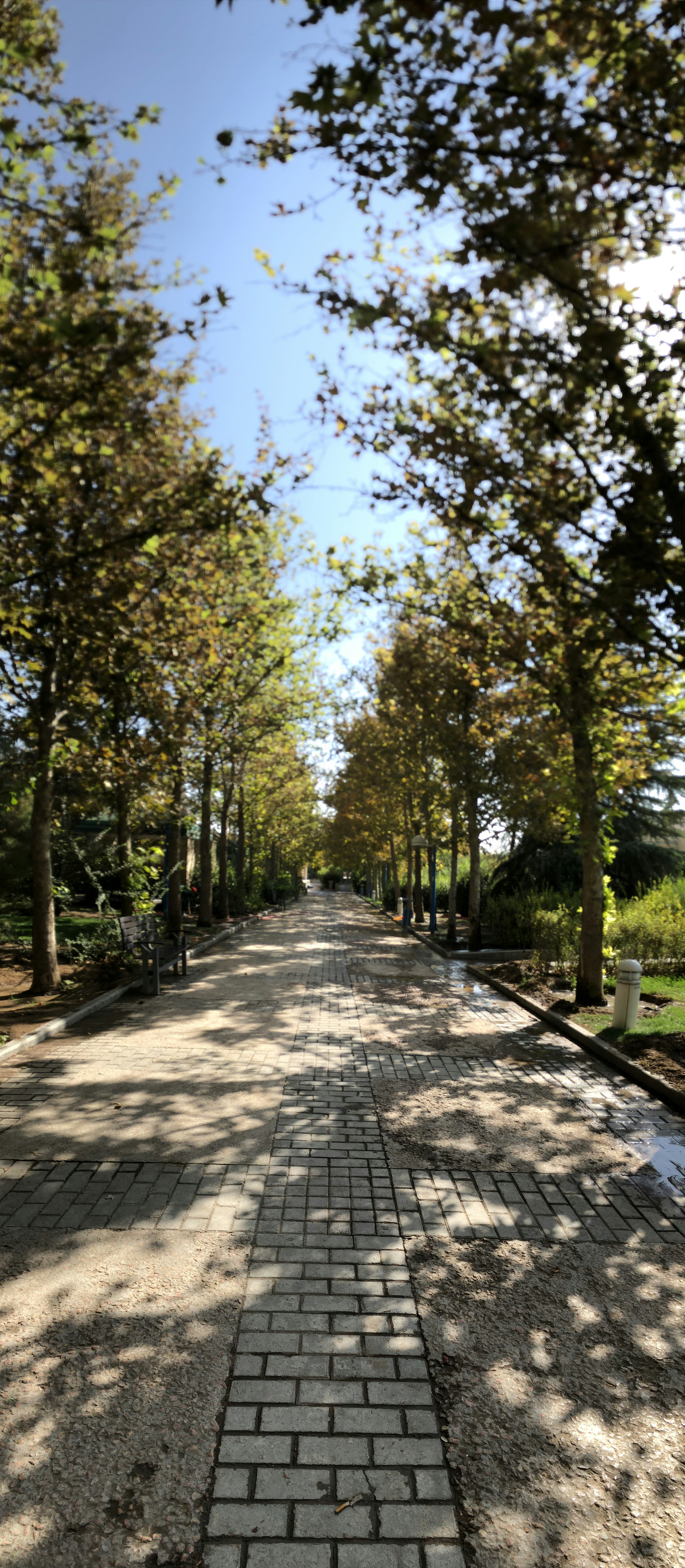 Photo by pariasoleimani