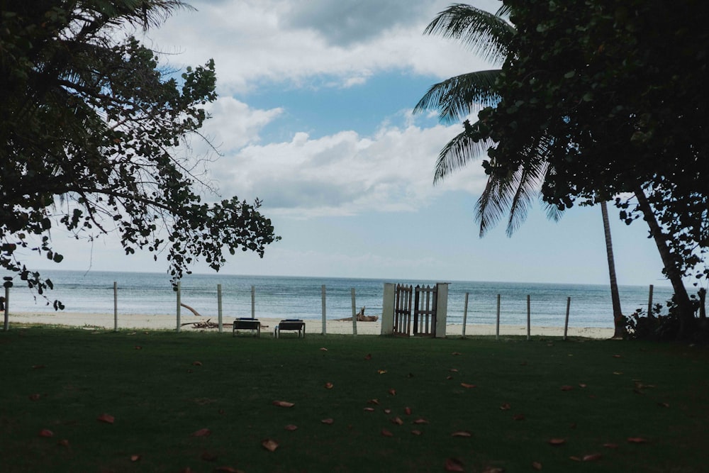 a view of the ocean from a grassy area