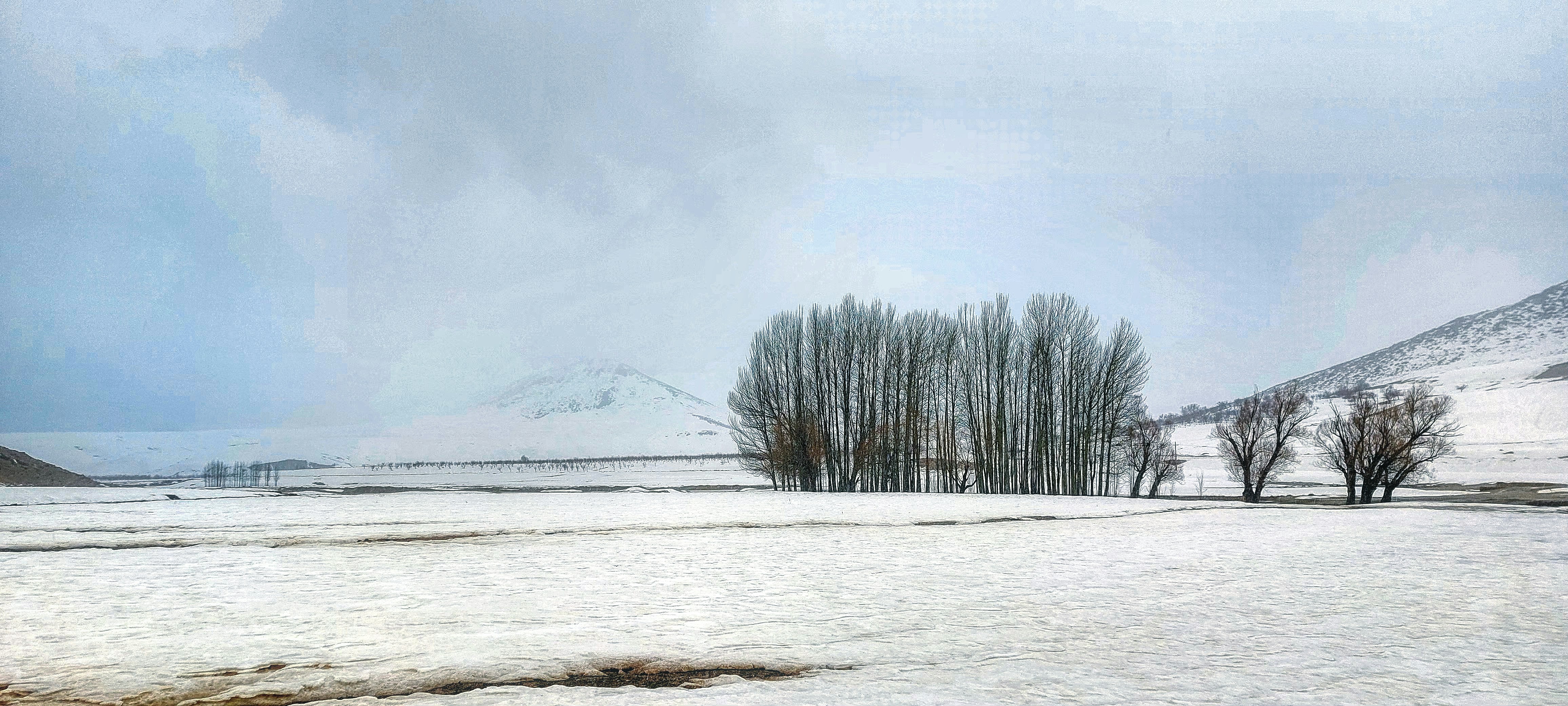 Photo by aliarjmandi