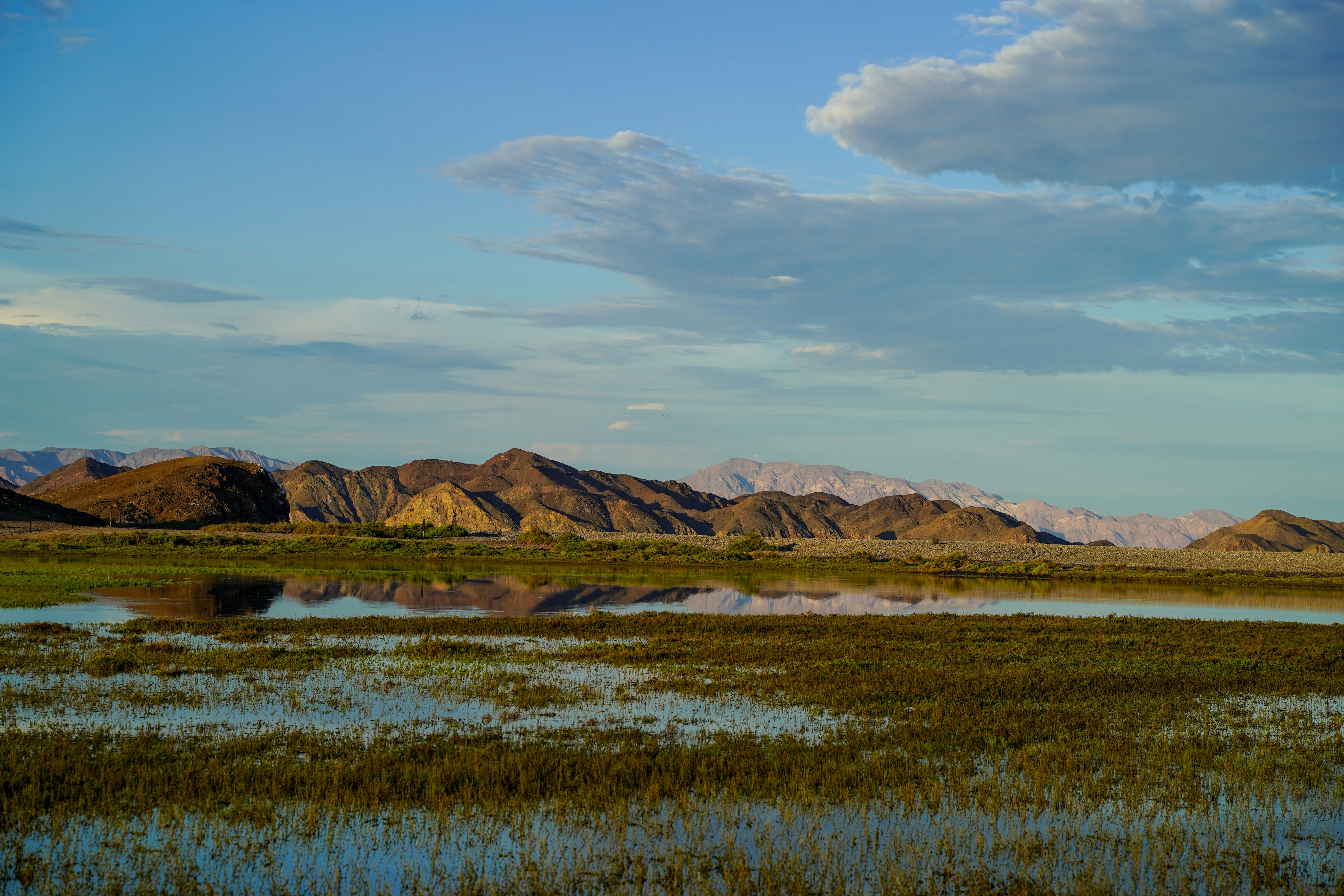 Photo by rodelophotography