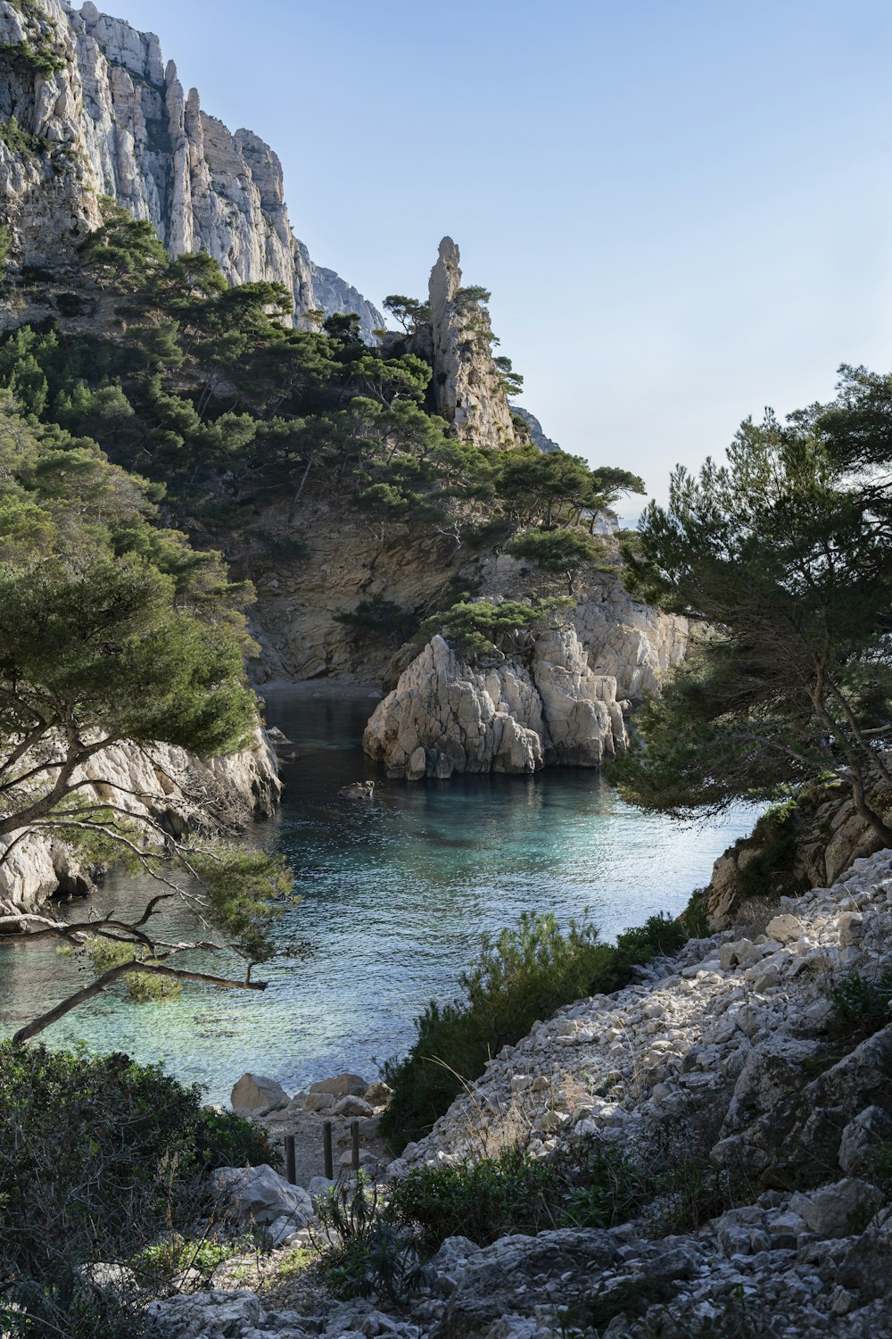 a body of water surrounded by trees and rocks