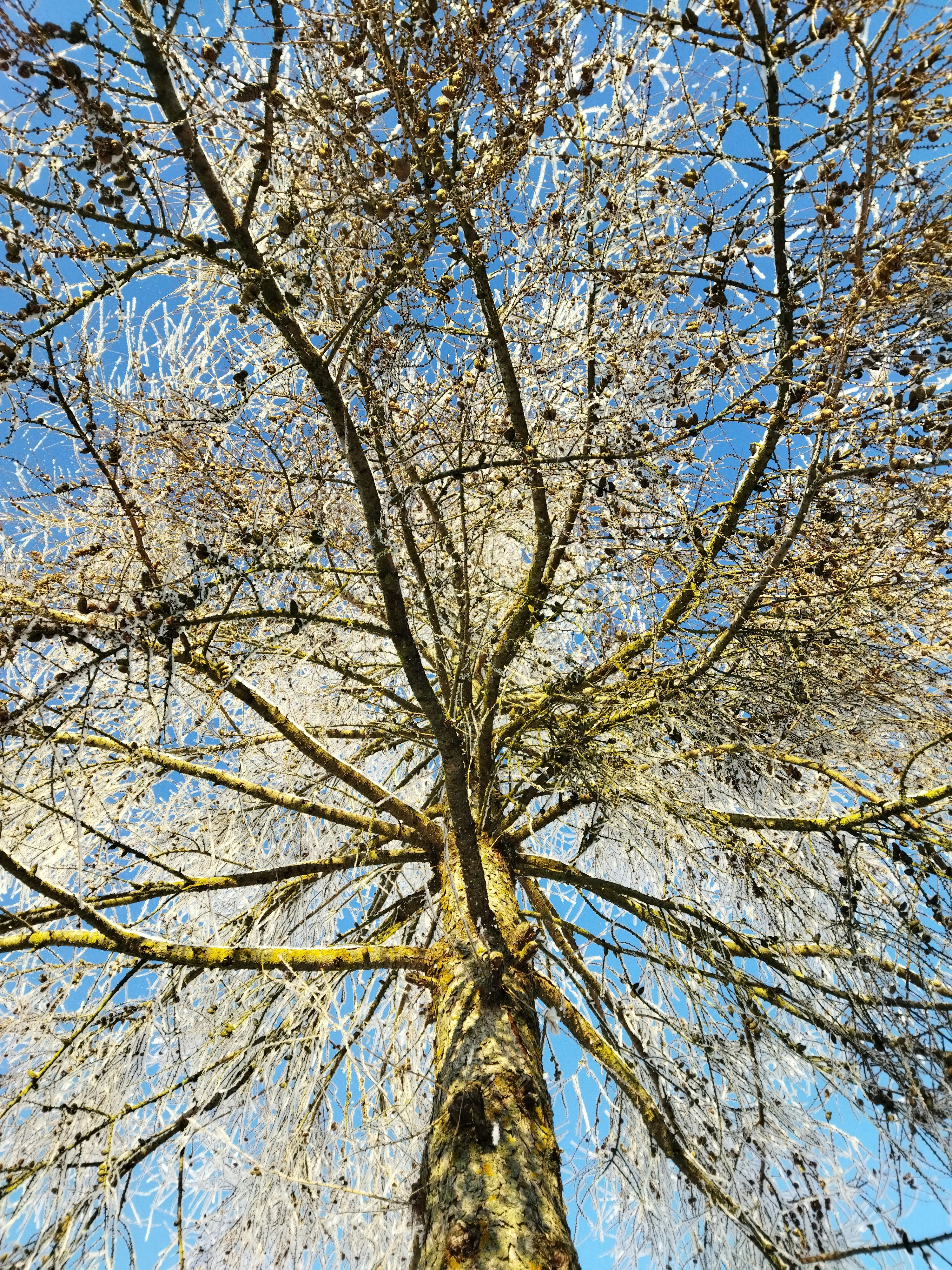 Photo by mary_mcdivan