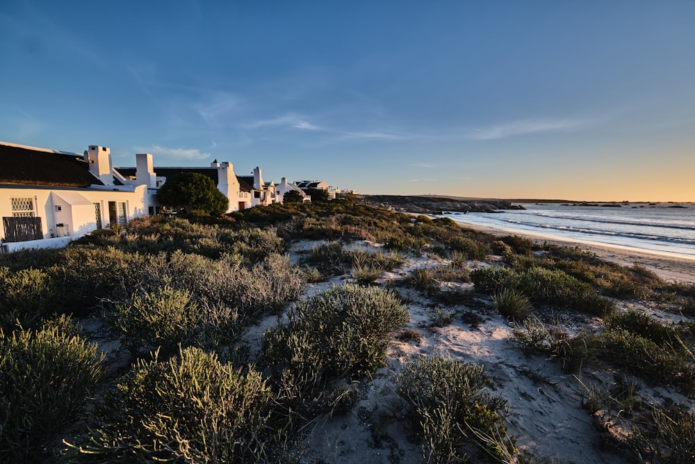 a house on the beach with a view of the ocean