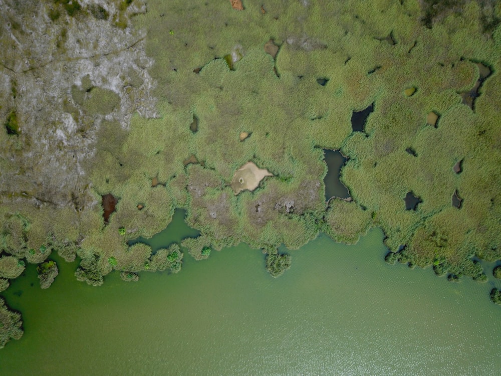 an aerial view of a body of water surrounded by trees