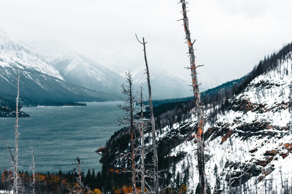 a snow covered mountain with a lake in the background