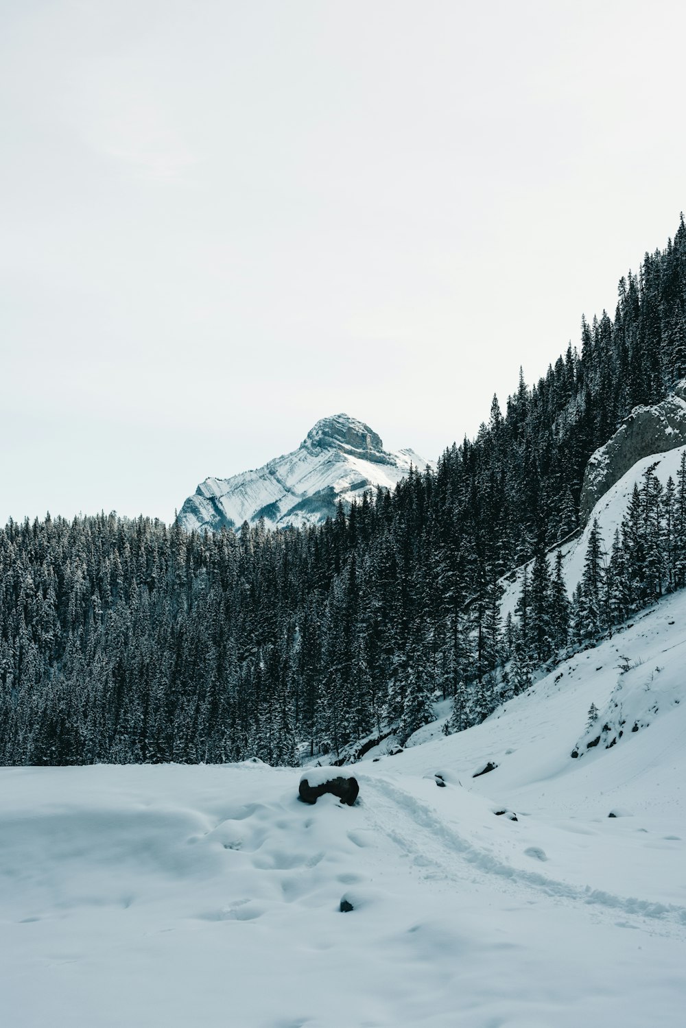 a snow covered mountain with a forest in the background