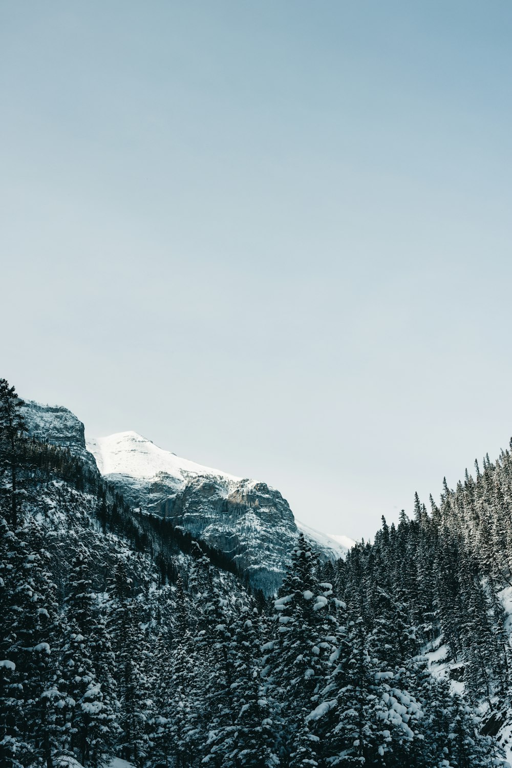 a snowy mountain covered in trees and snow