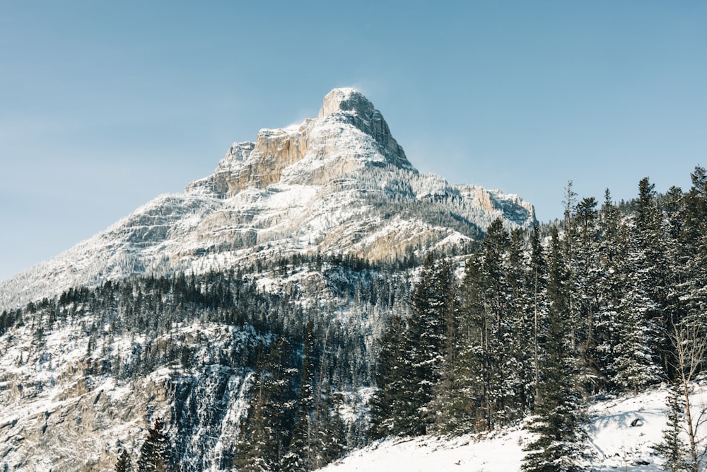 ein schneebedeckter Berg mit Bäumen im Vordergrund