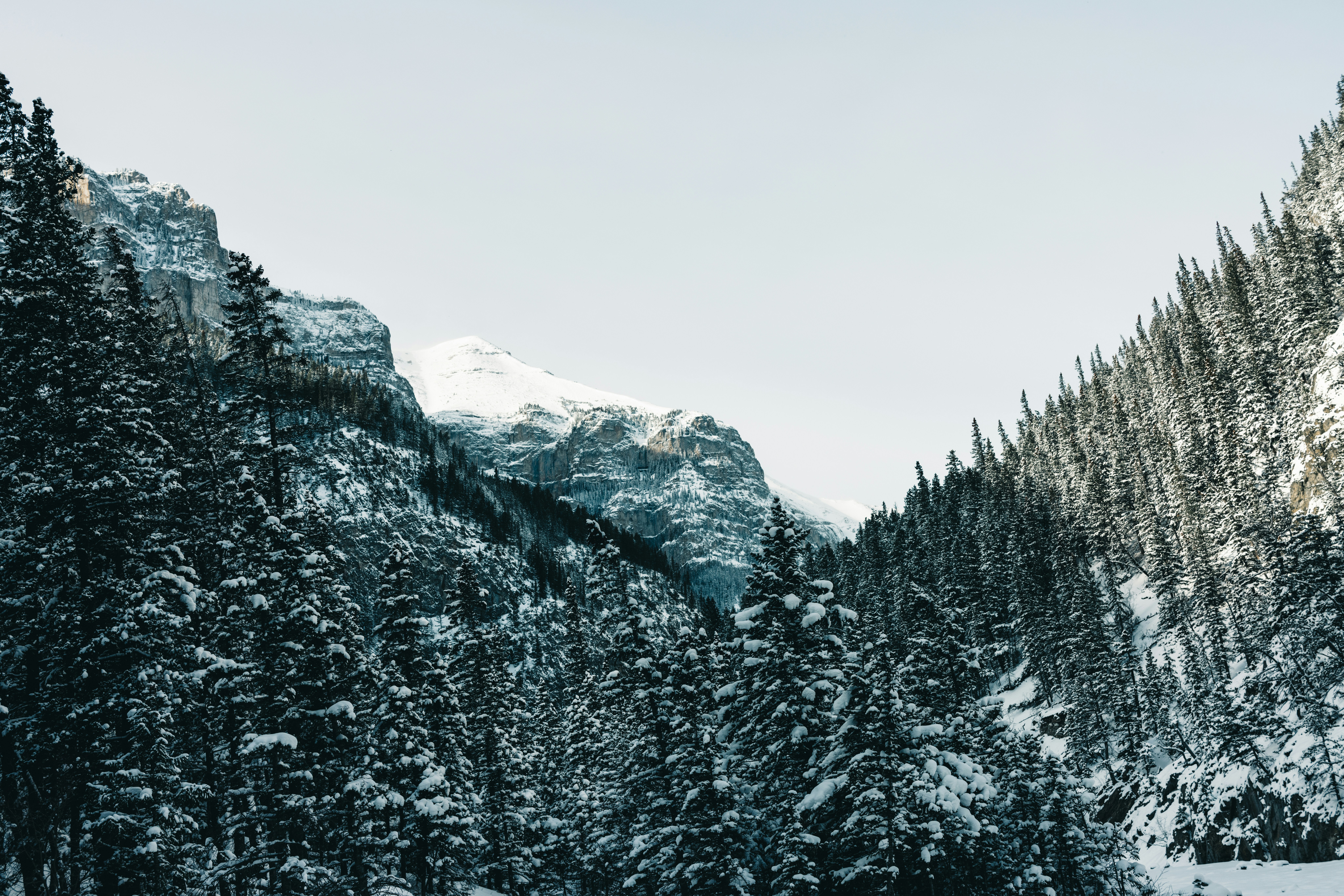 Photo by lureofadventure