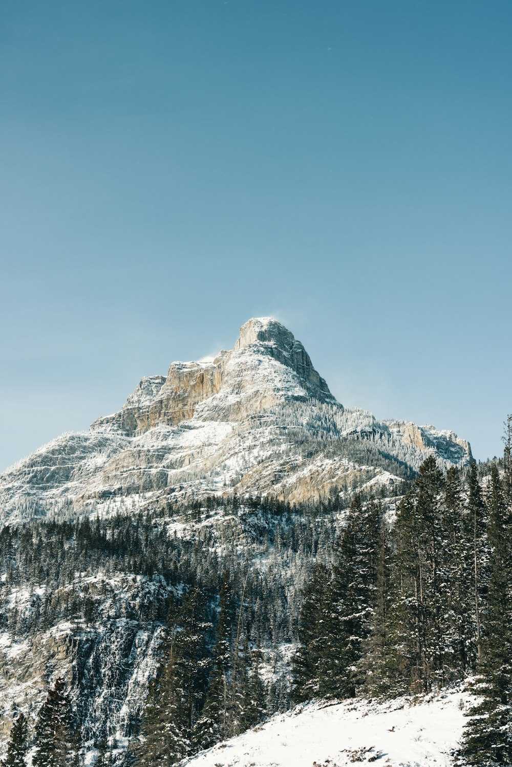 a snow covered mountain with trees in the foreground