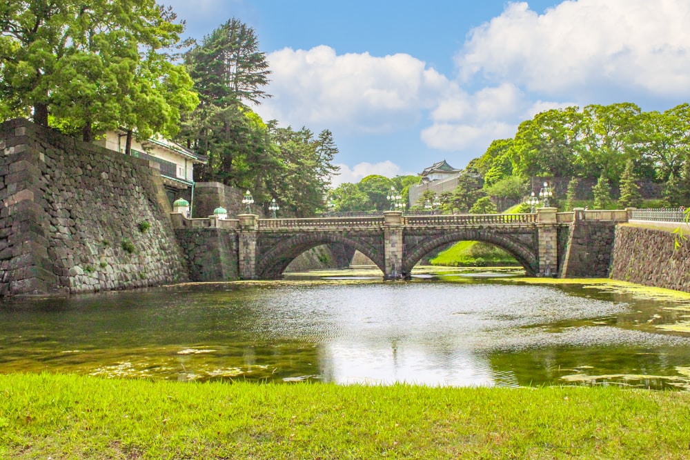 uma ponte sobre um pequeno lago em um parque
