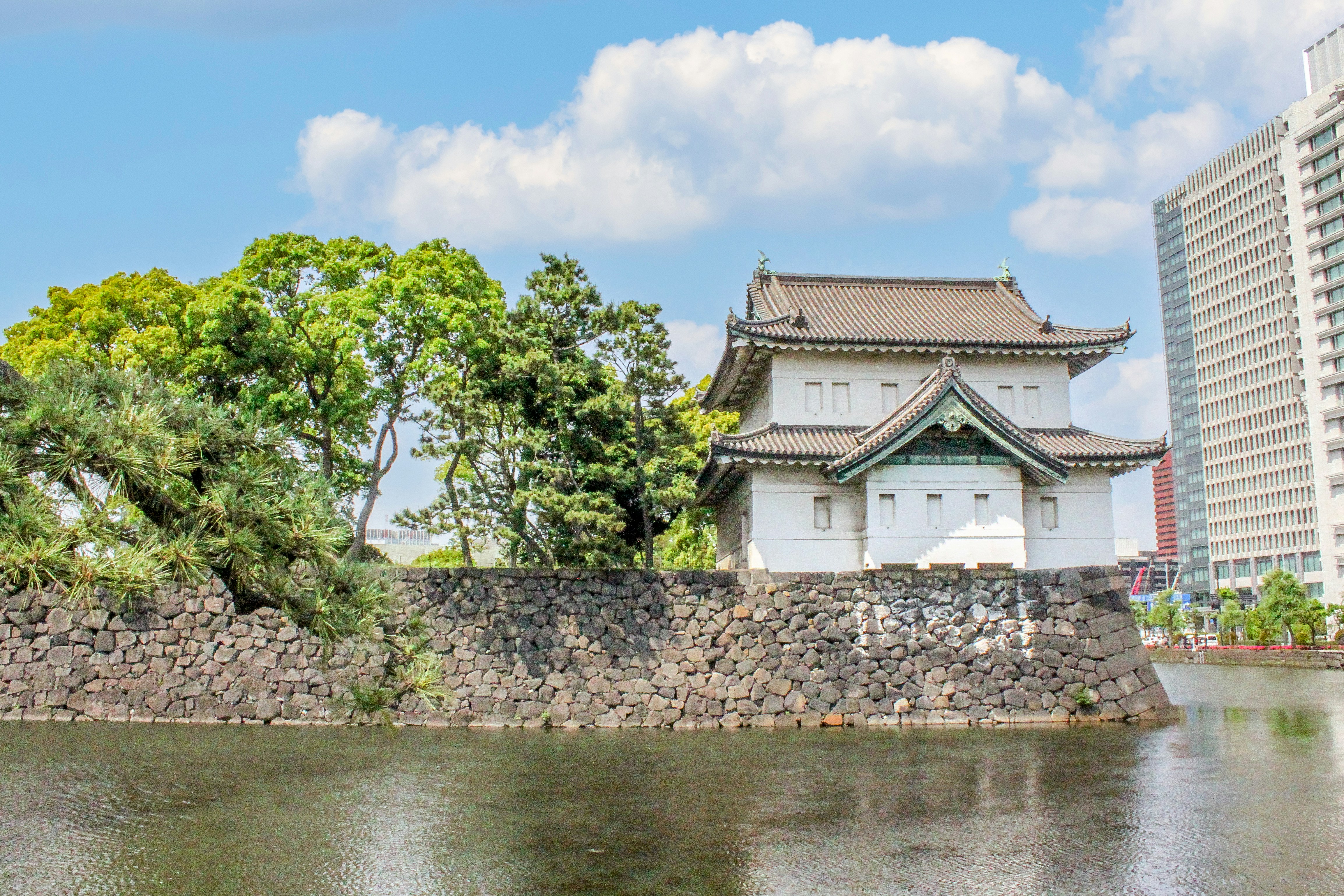 Photo by rickyrynselo