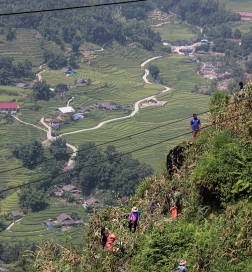 a group of people climbing up a hill