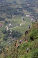 a group of people climbing up a hill