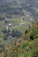 a group of people climbing up a hill