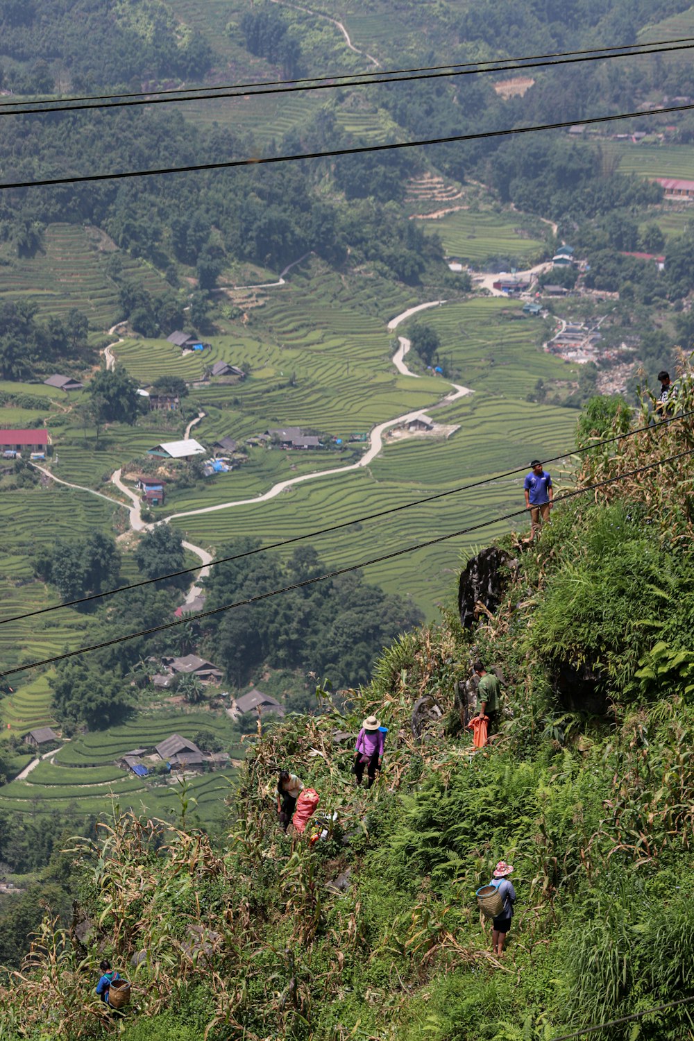 a group of people climbing up a hill