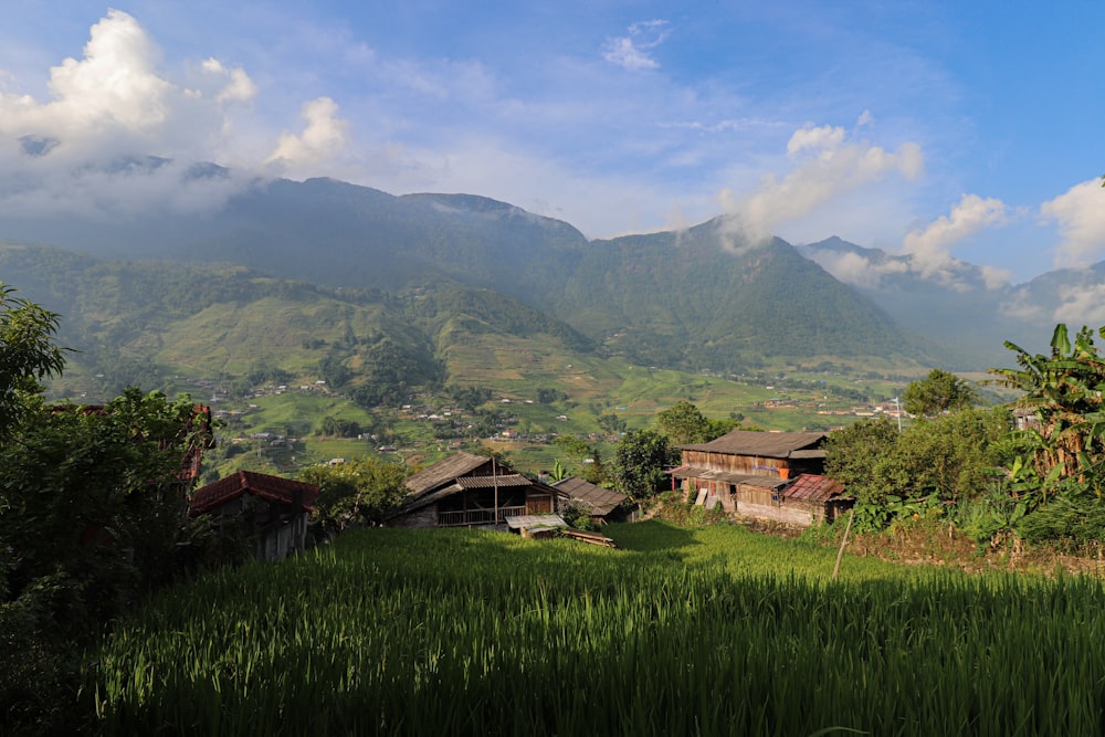 a lush green field with houses and mountains in the background
