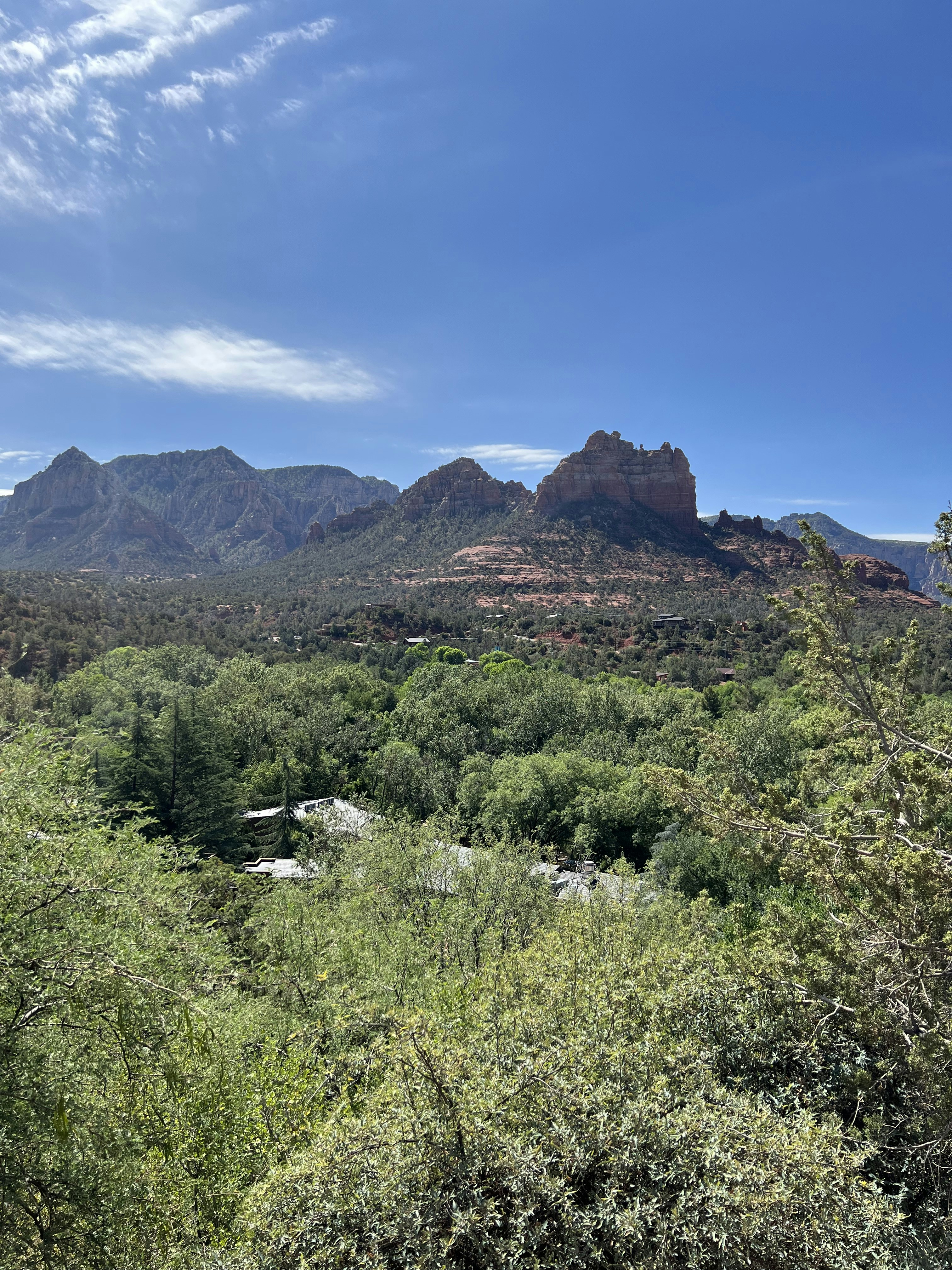 Photo by blairneedsanap