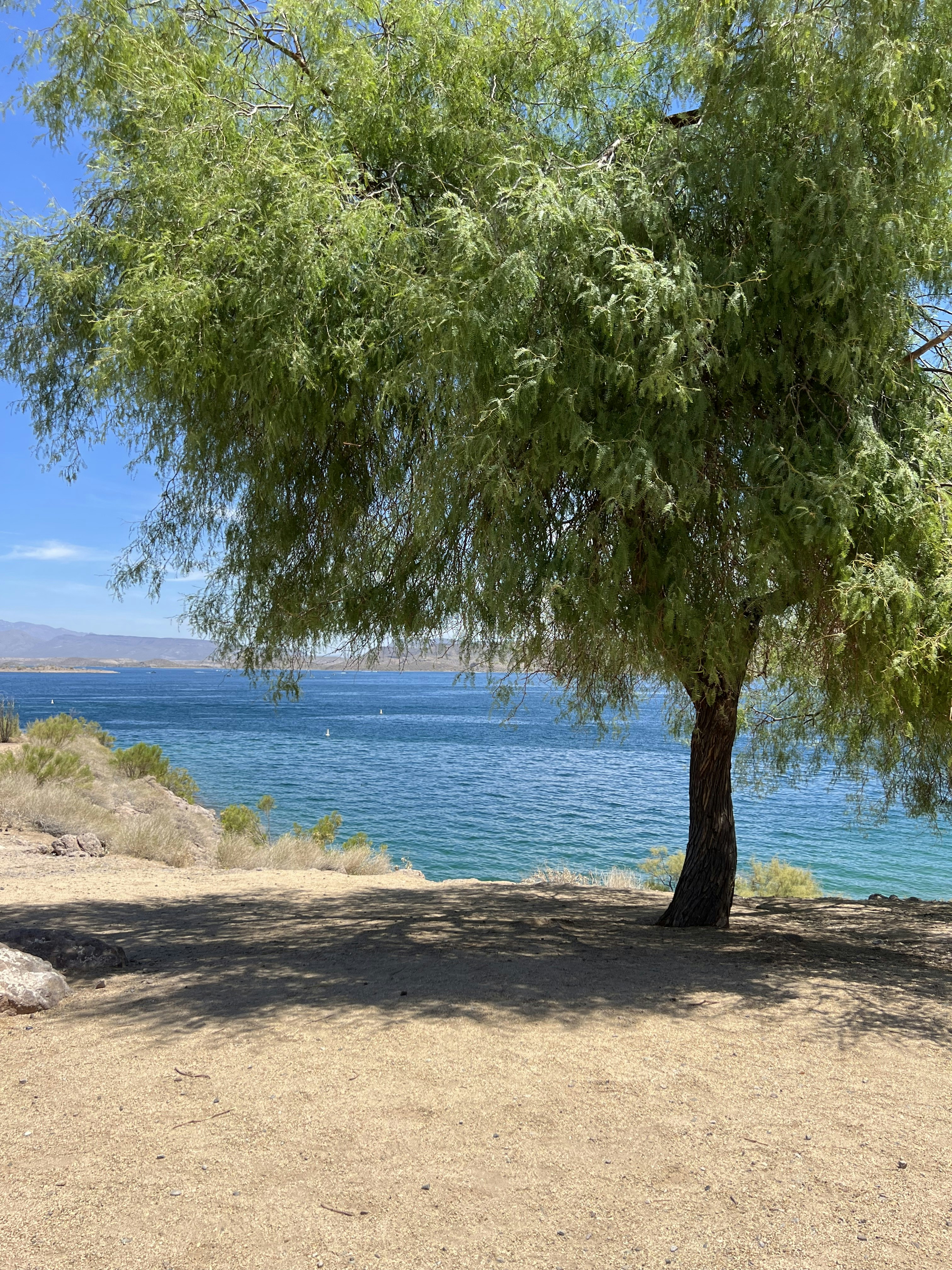 Photo by blairneedsanap