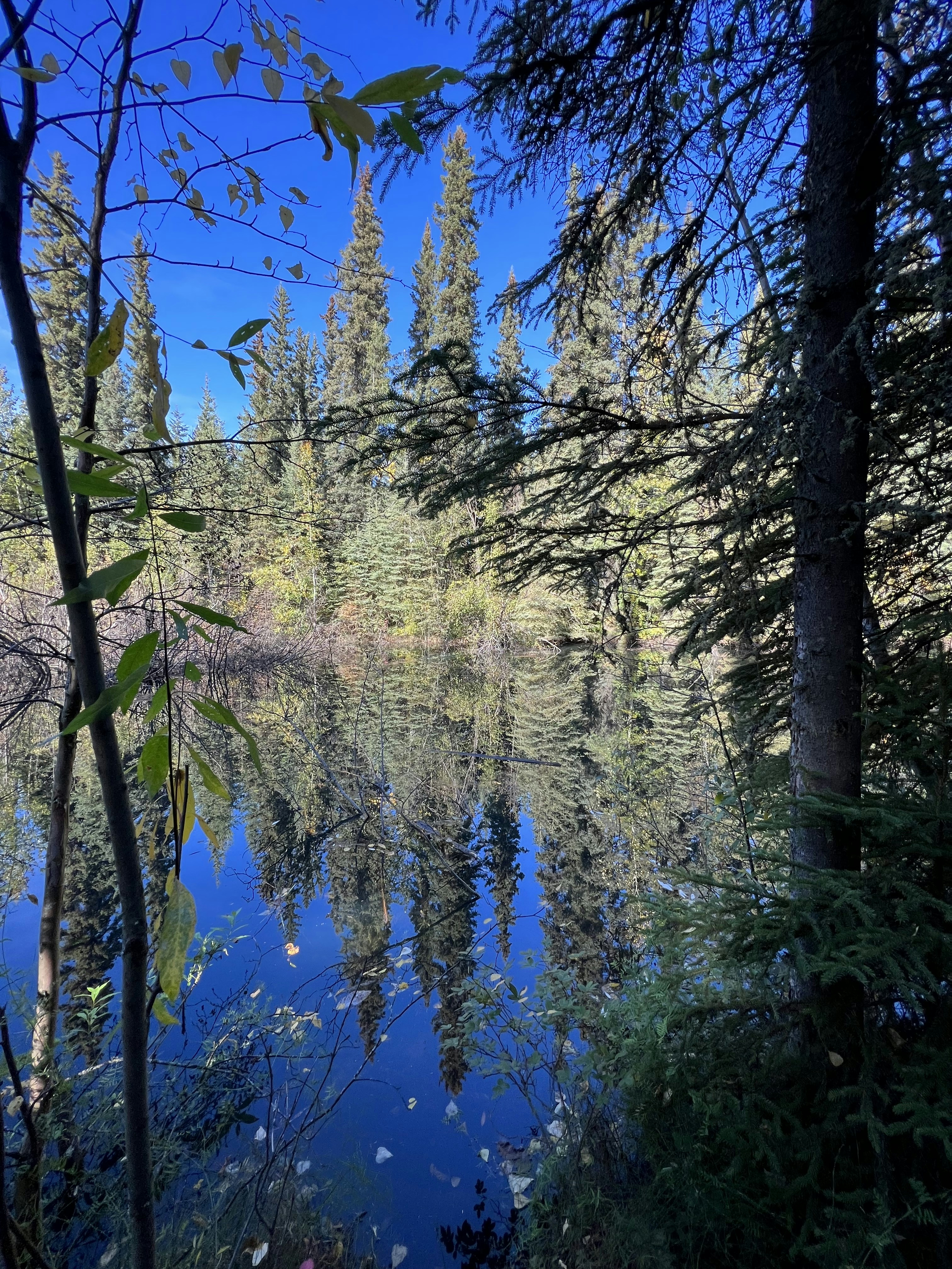 Photo by blairneedsanap